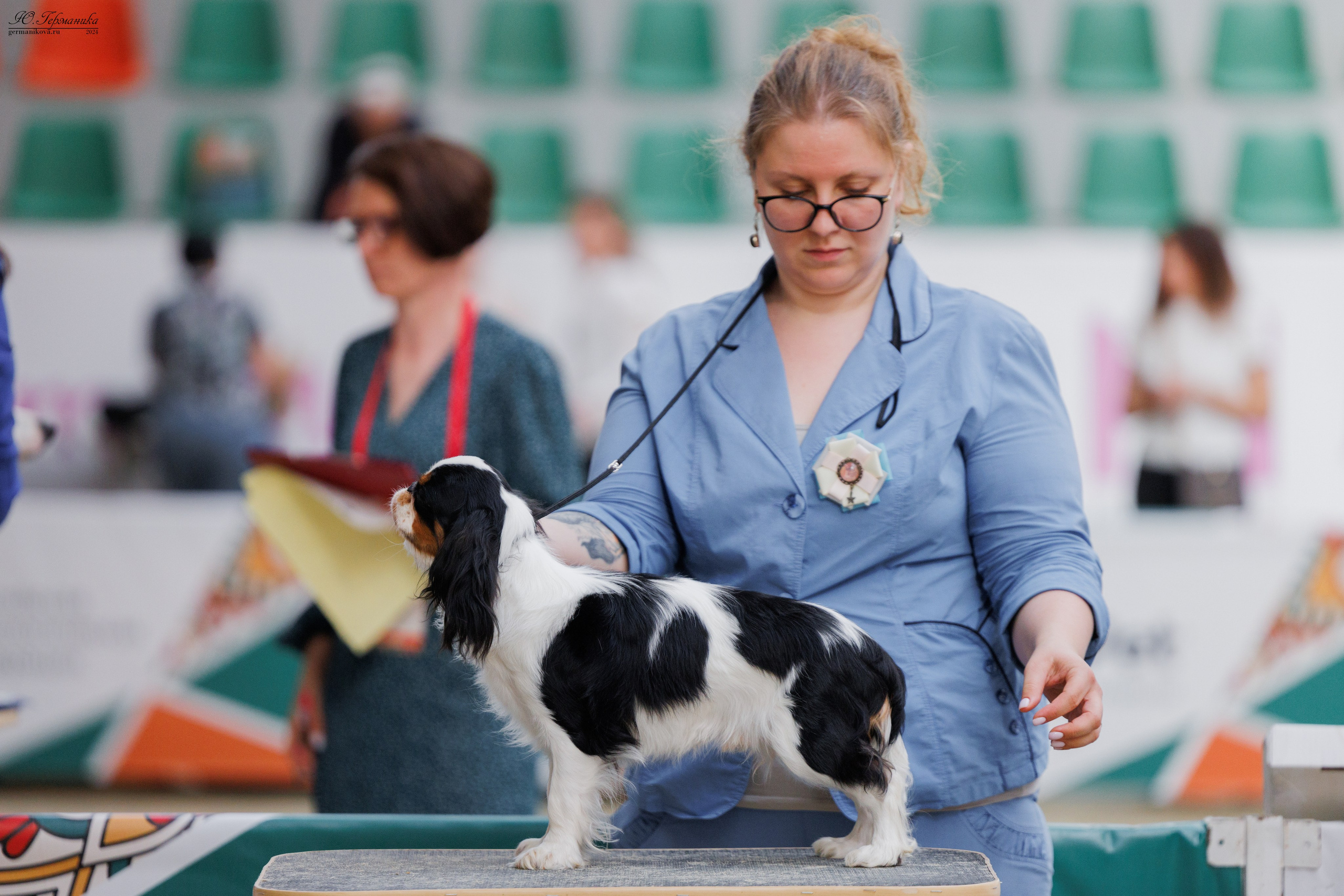 РОССИЯ 8-9.06.2024. Фотограф-анималист Юлия Германика