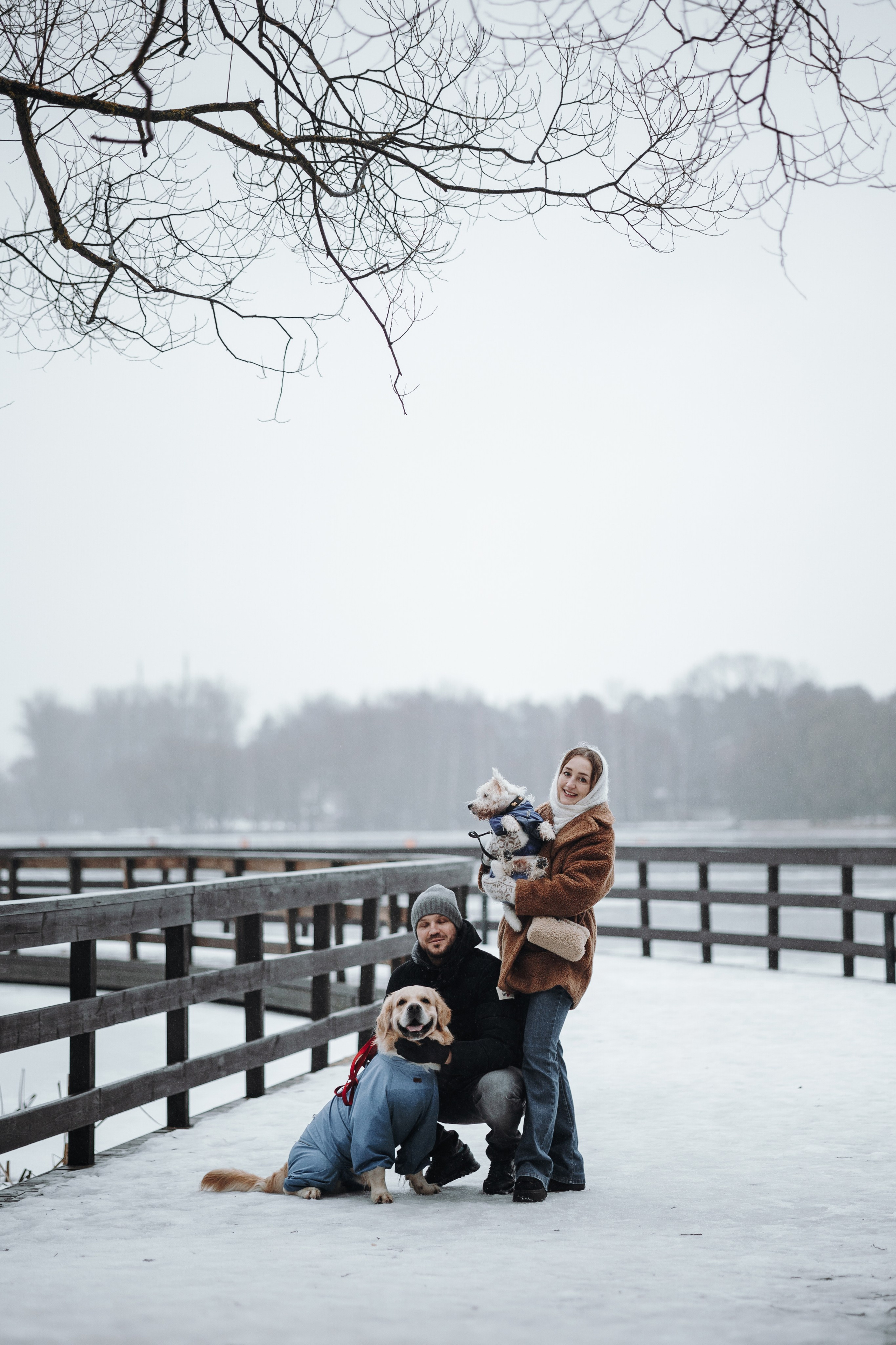 Шелби, Ватсон и ребята. Фотограф — Анималист | Санкт-Петербург