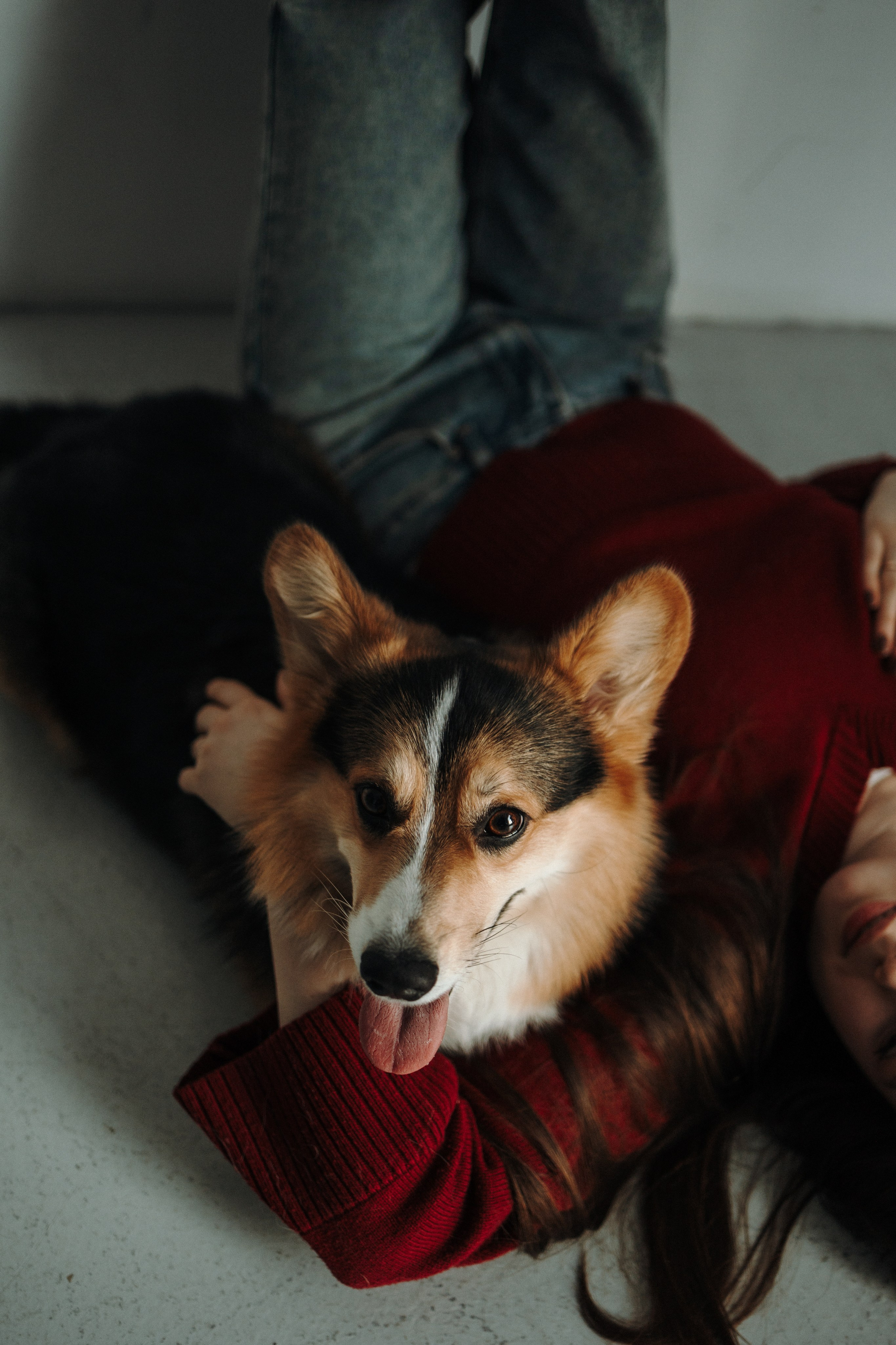 Настя и Коржик. Фотограф — Анималист | Санкт-Петербург