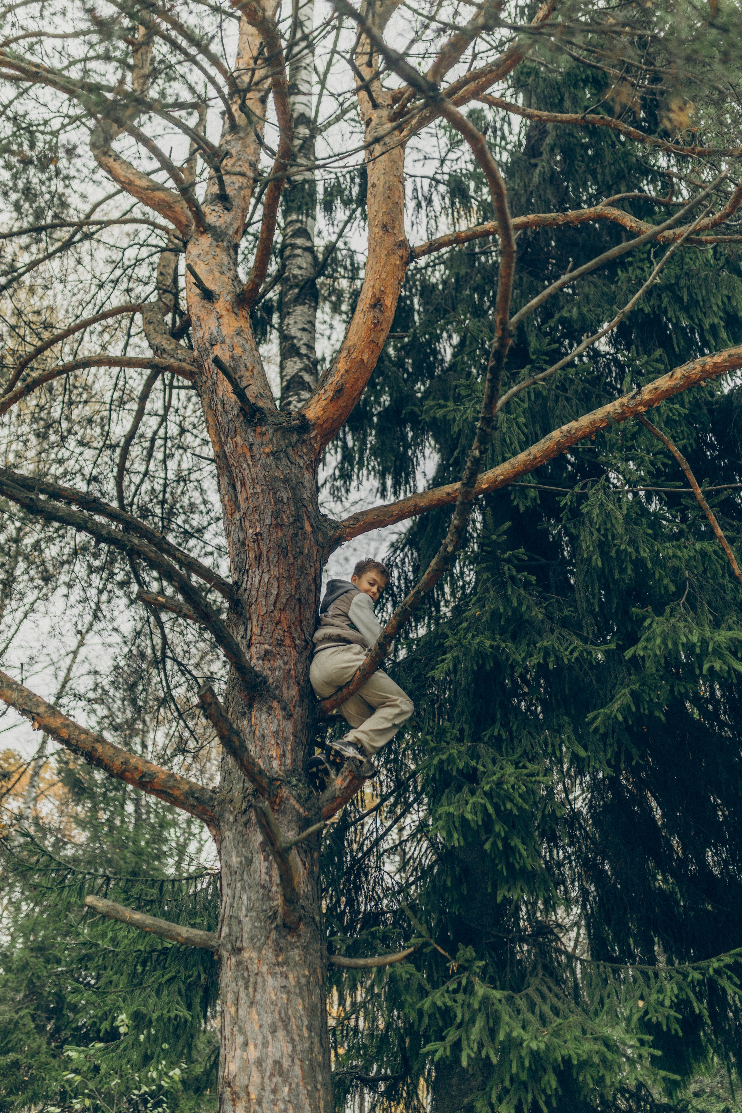 Осенняя прогулка. Фотограф в Москве Наталья Спиридонова