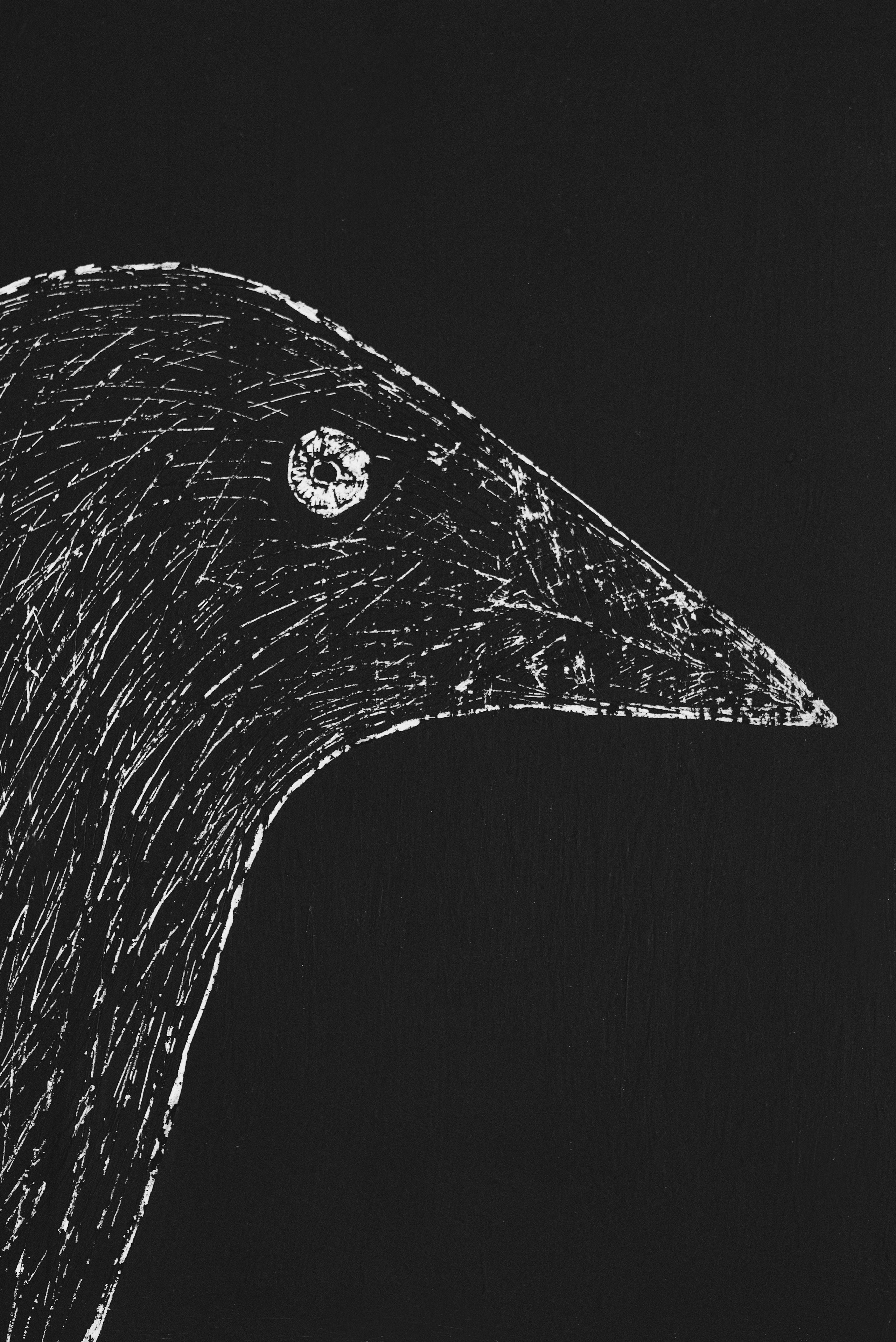 ДУША. Семейный и newborn фотограф в Уфе Елена Сакурова