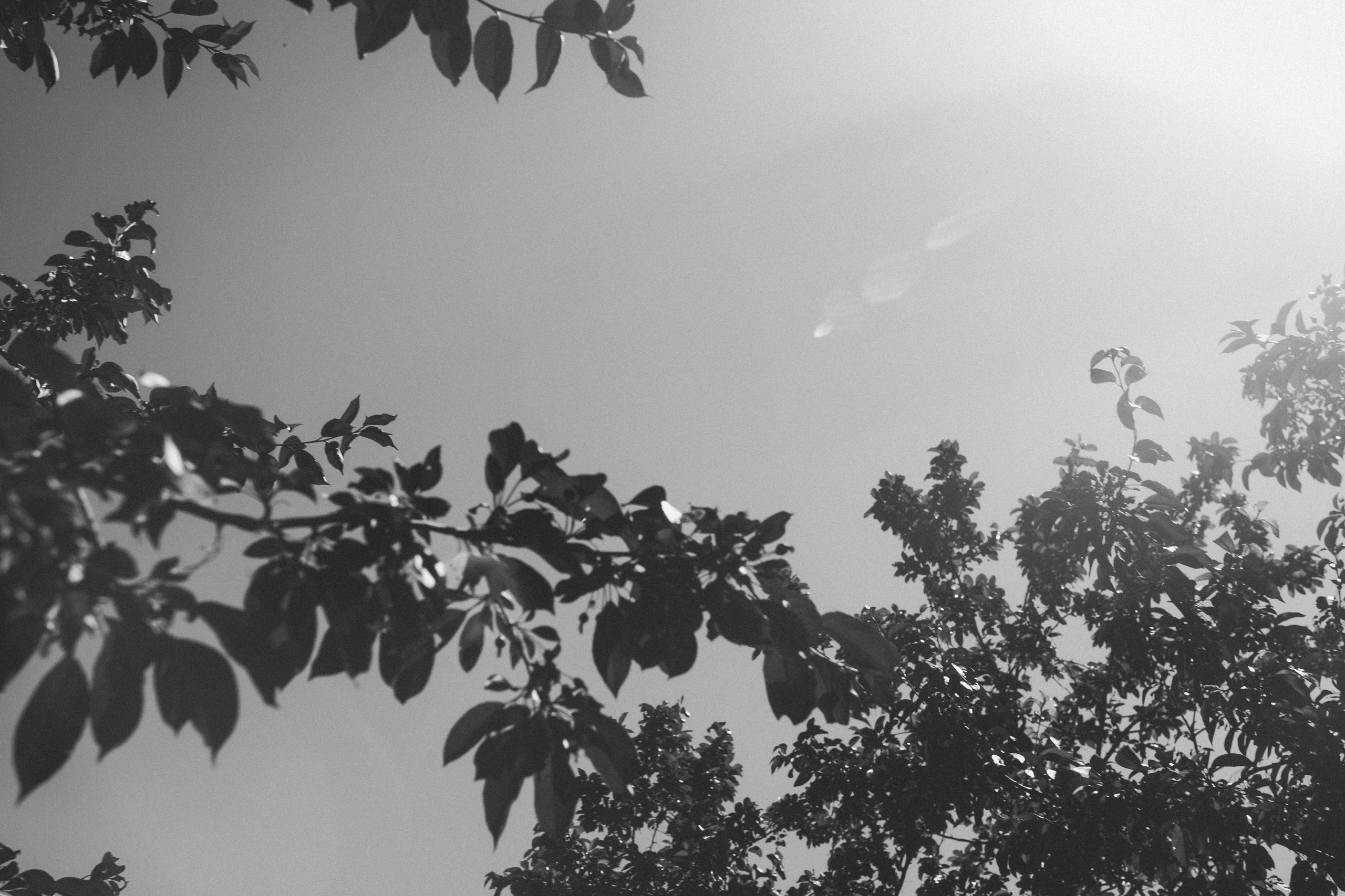 Свадьба Максима и Юлии. Свадебный фотограф Казань