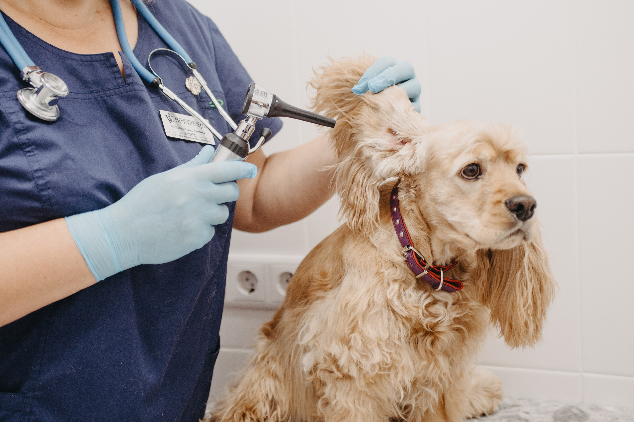 Предметка, каталог, реклама. Анна Оранжевая — фотограф | съёмки про жизнь, состояние и настоящие эмоции