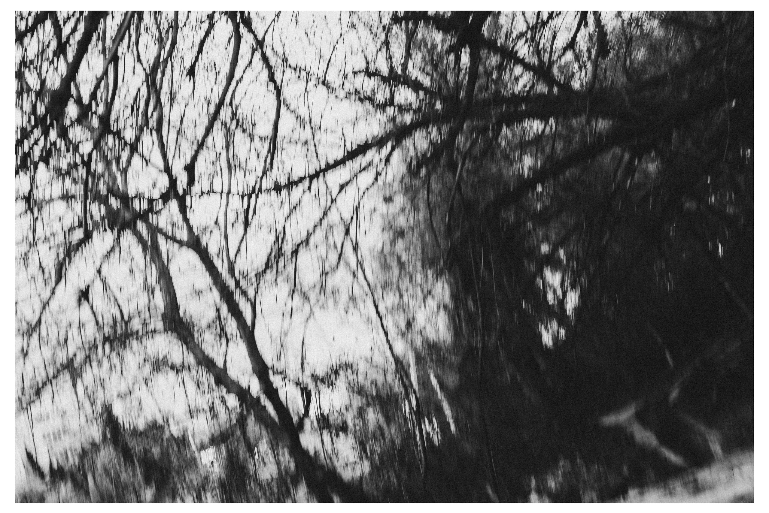 W&B HORIZONTAL. Фотограф в Севастополе Максим Черенёв