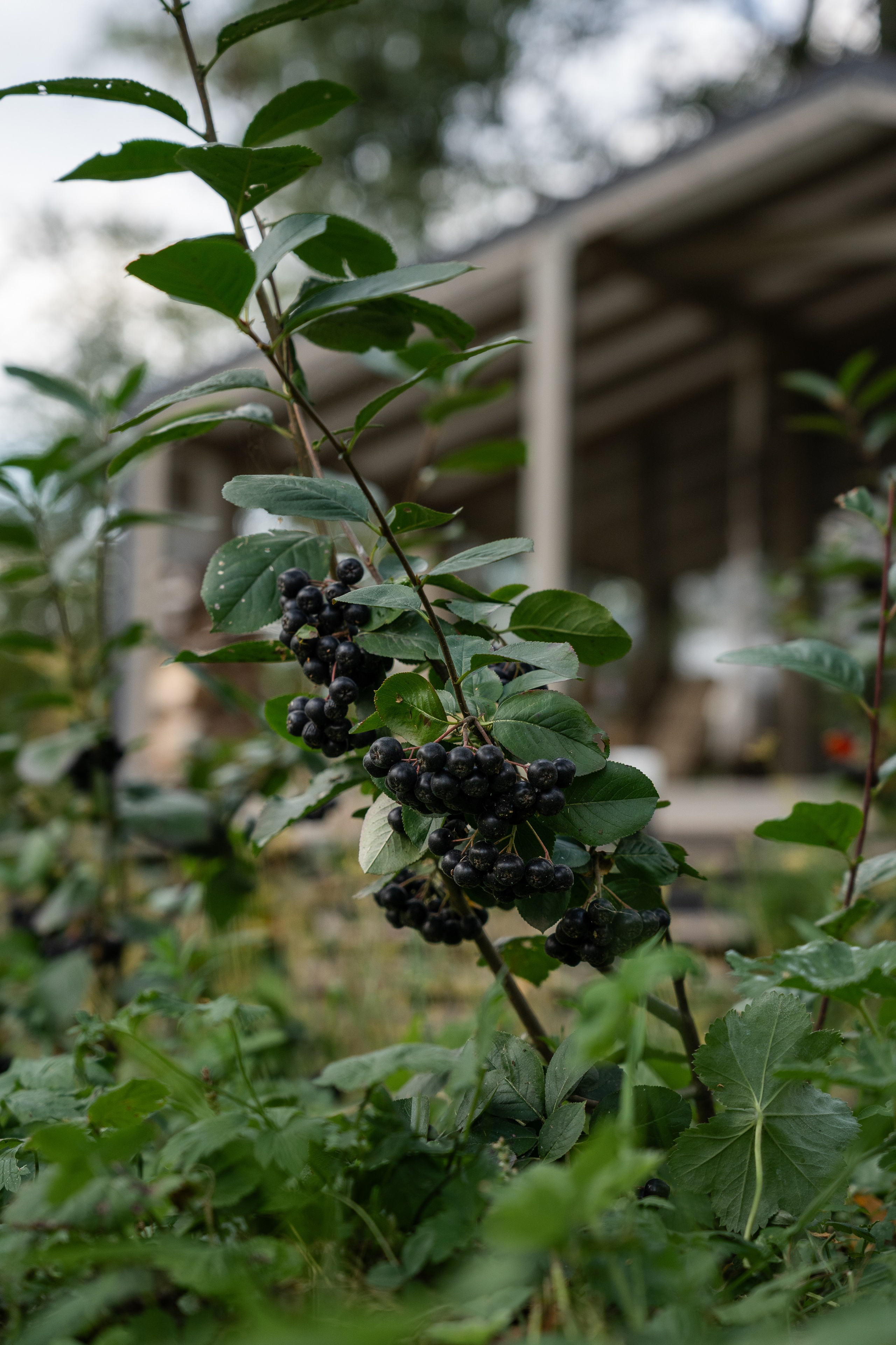 DublDom. Артамонов Александр | Архитектурный и ландшафтный фотограф