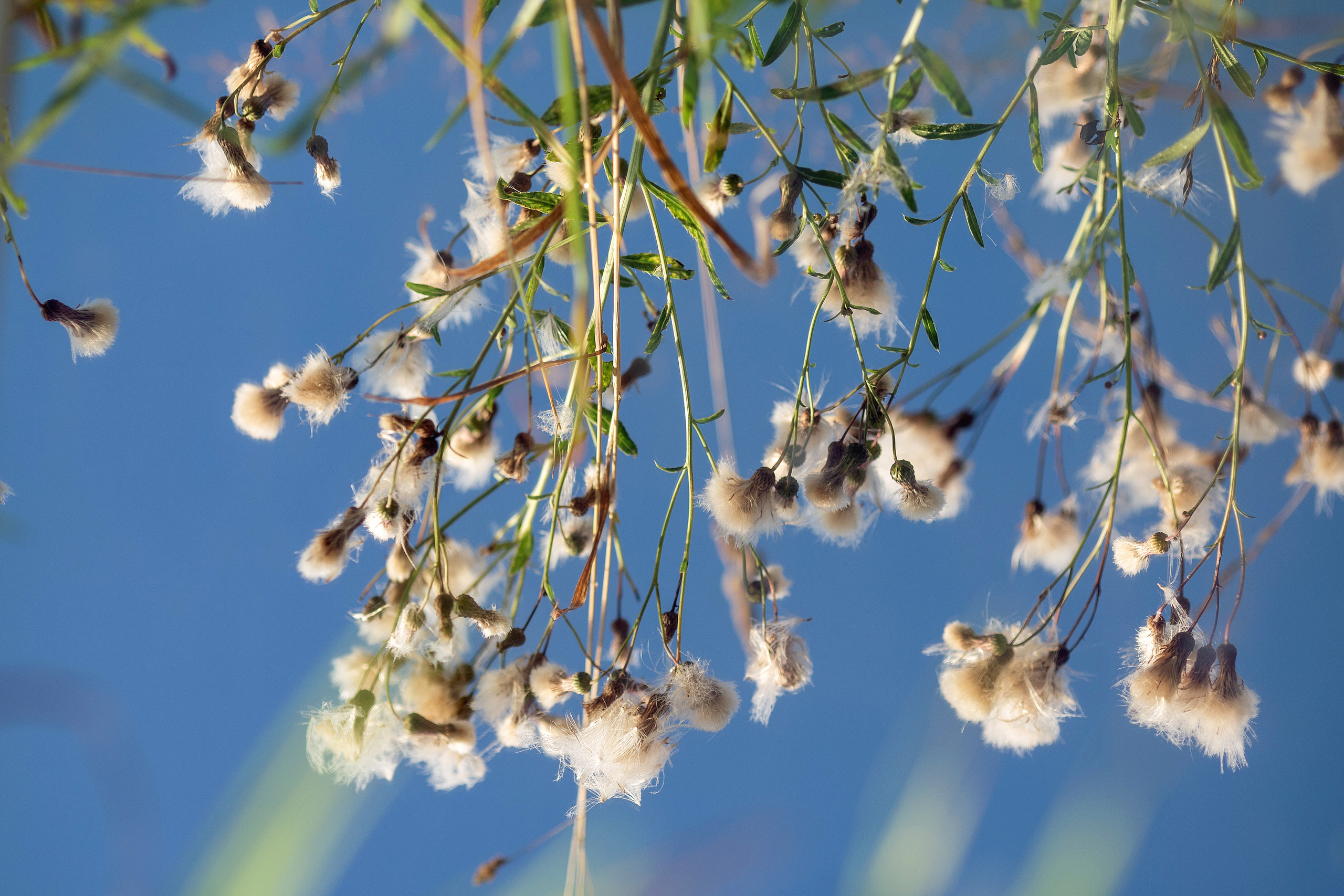 Рассвет за городом. Фотограф в Твери и Москве Юлия Бахтамова