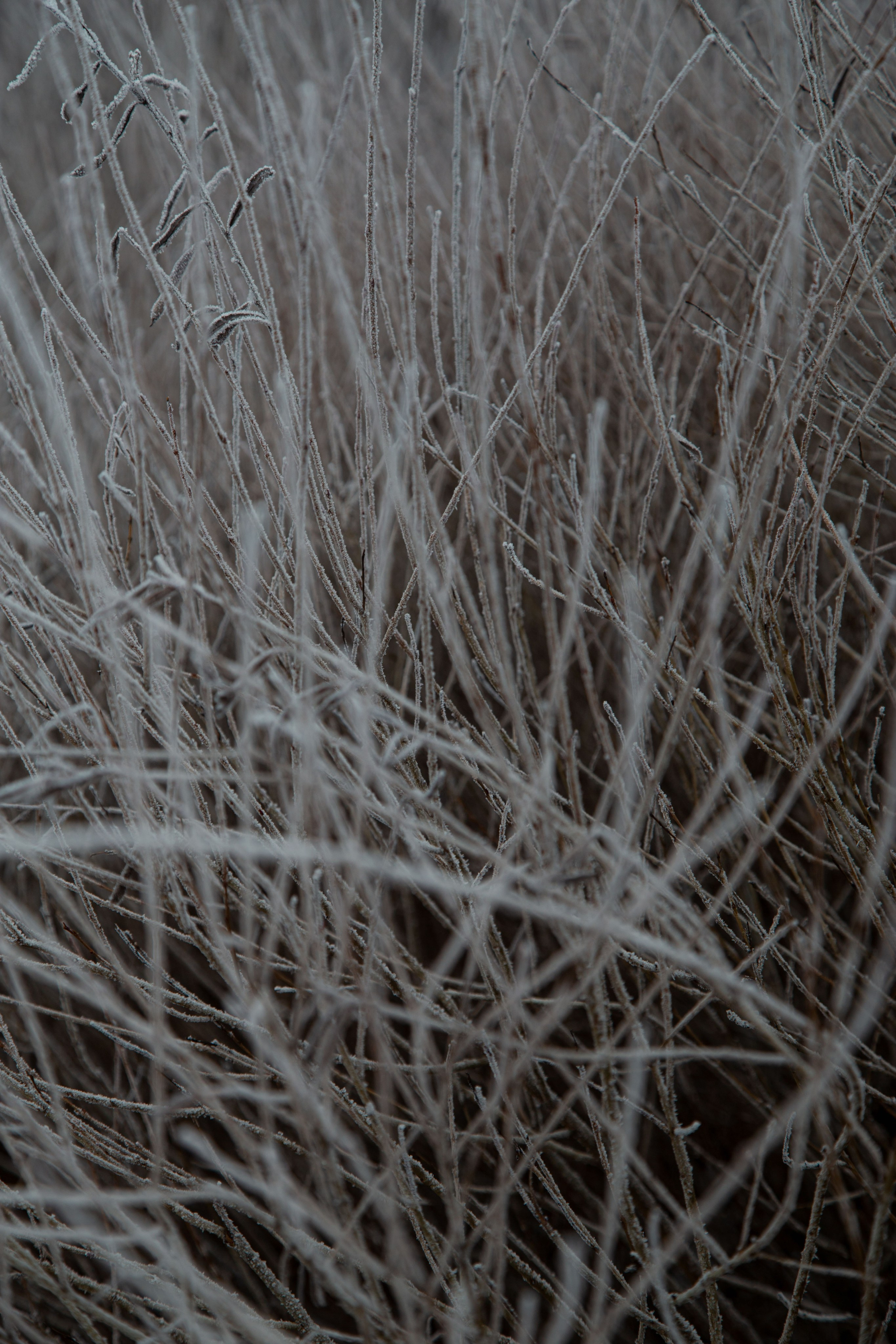 Воздух февраля. Dmitriy [KCCC] is a pretty cool photographer