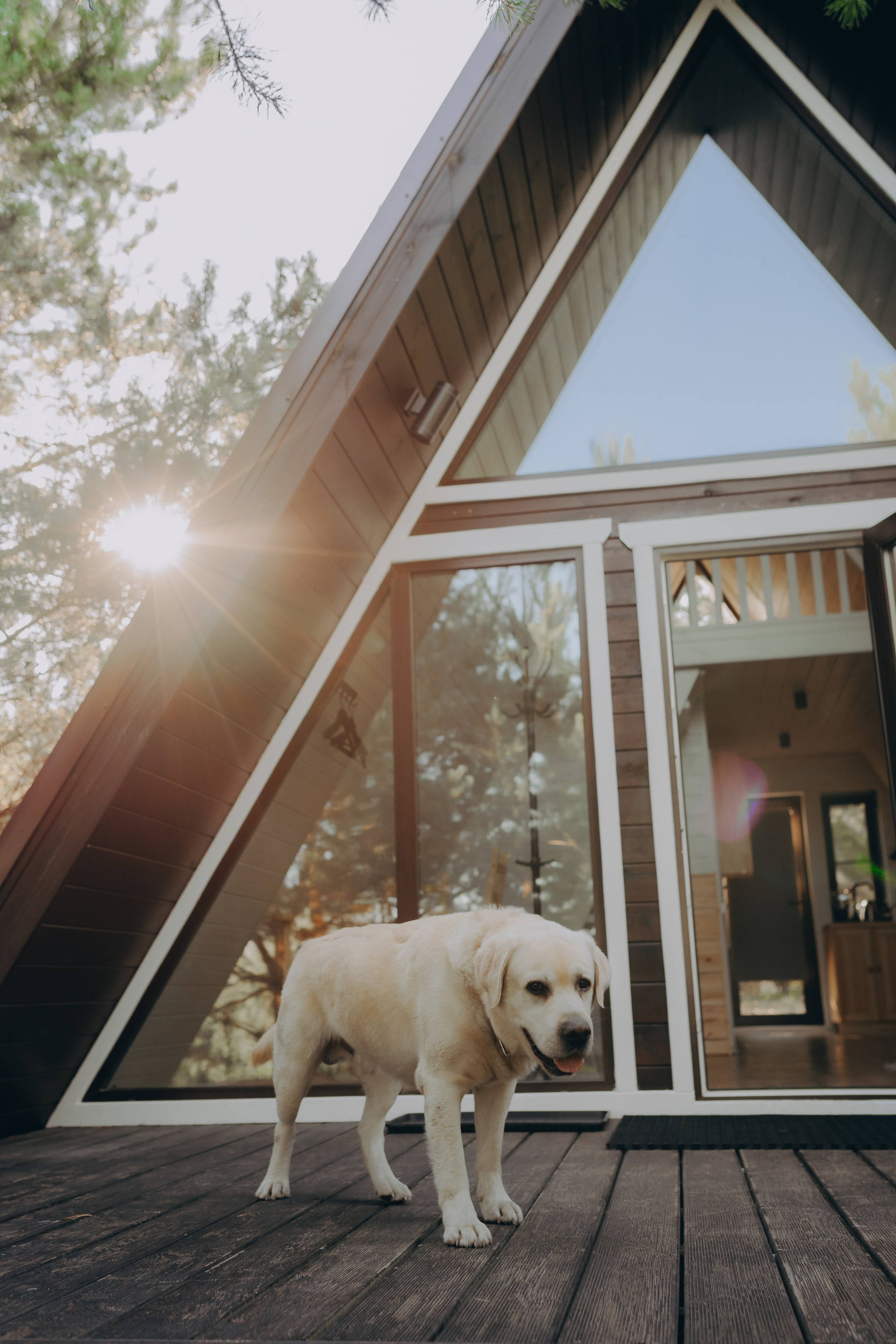 Глемпинг Шалаш. Фотограф Торопец Кристина Абрамова Kanwellia photography