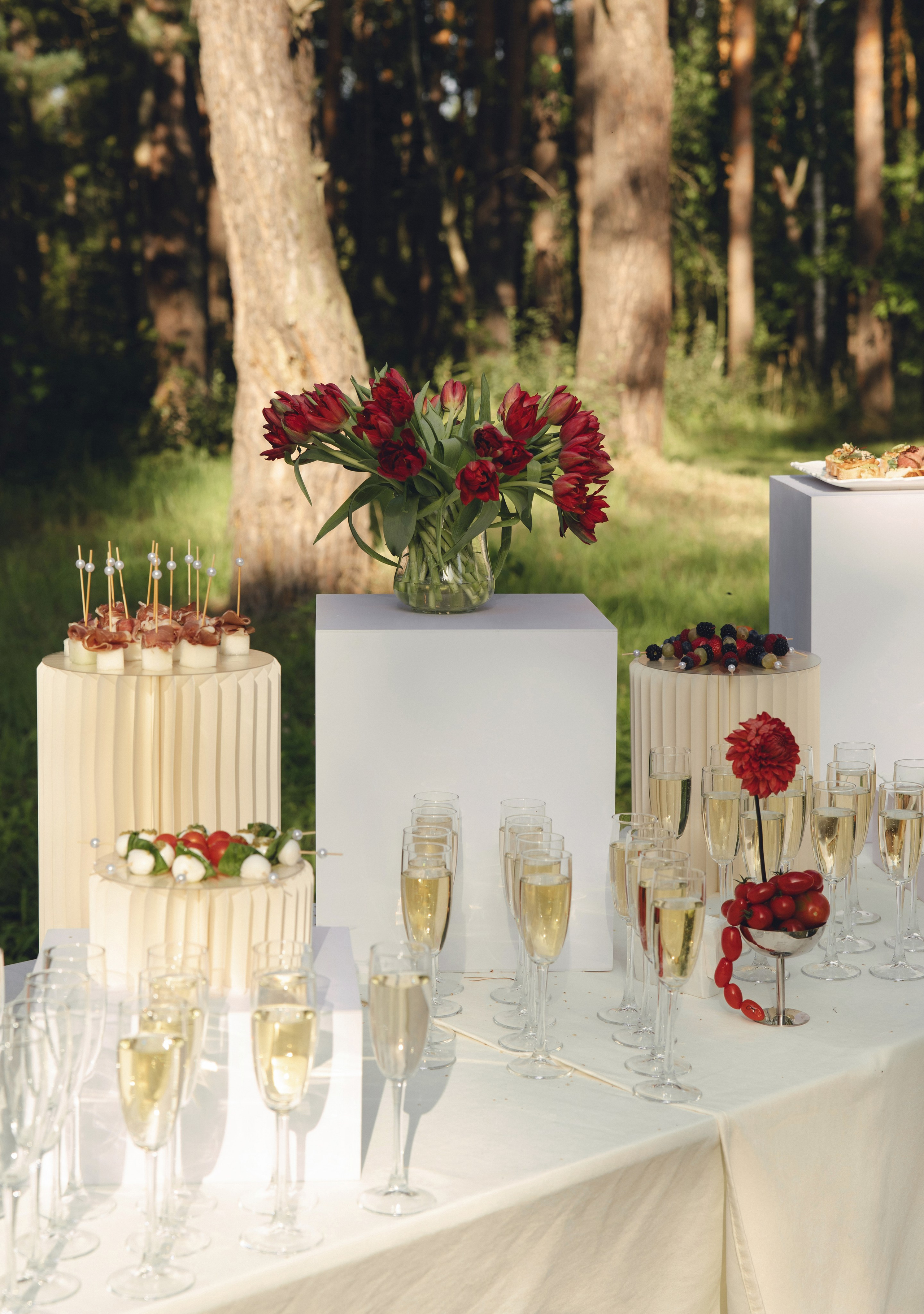 АНАТОМИЯ СТРАСТИ