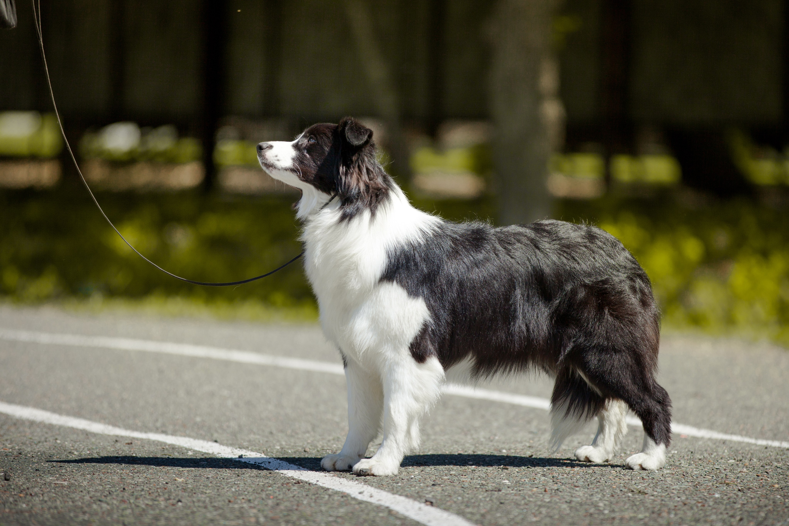 Зеленое в Оренбурге 19. О нас