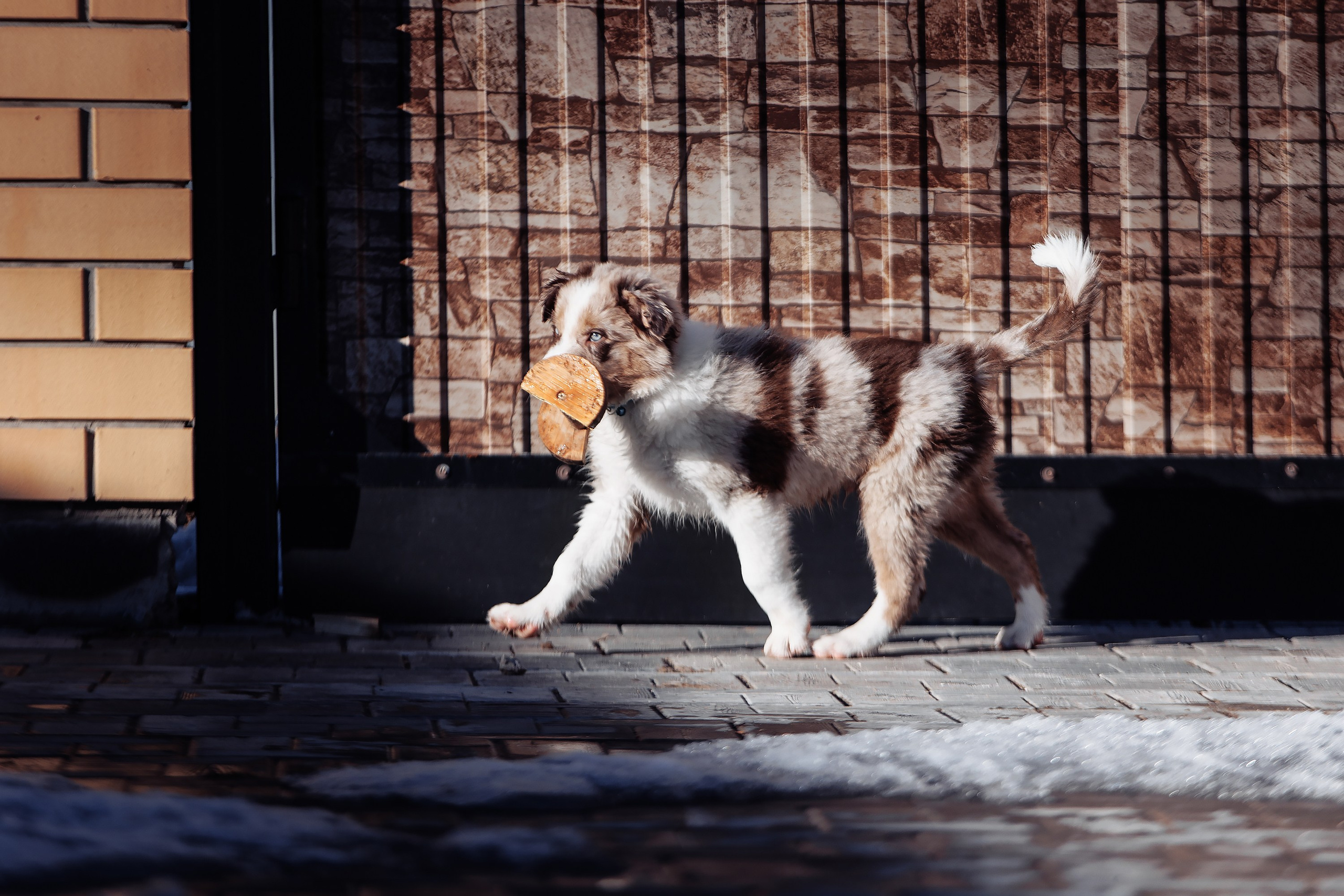 Пока таяло. О нас