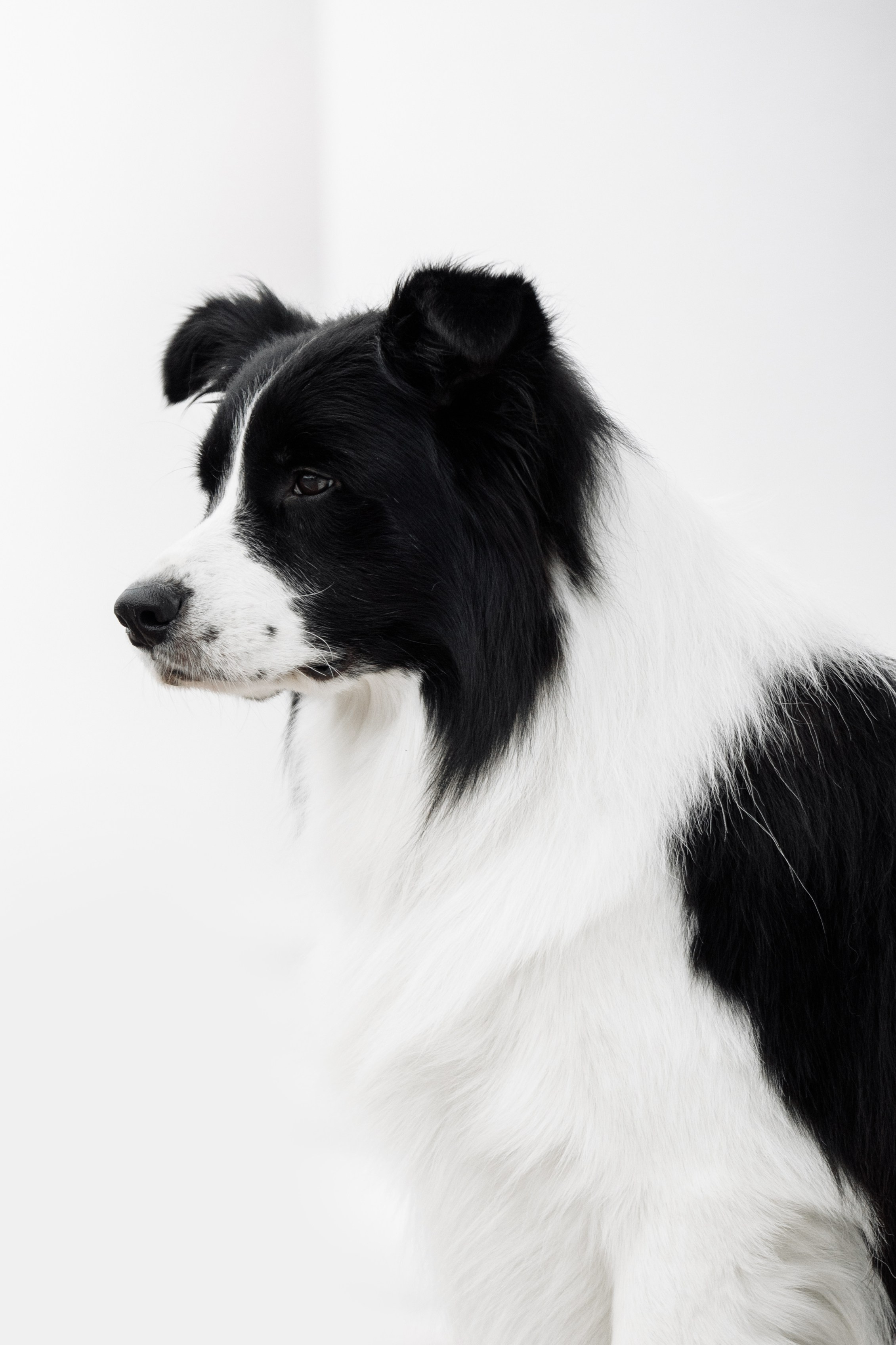 Казань. О нас