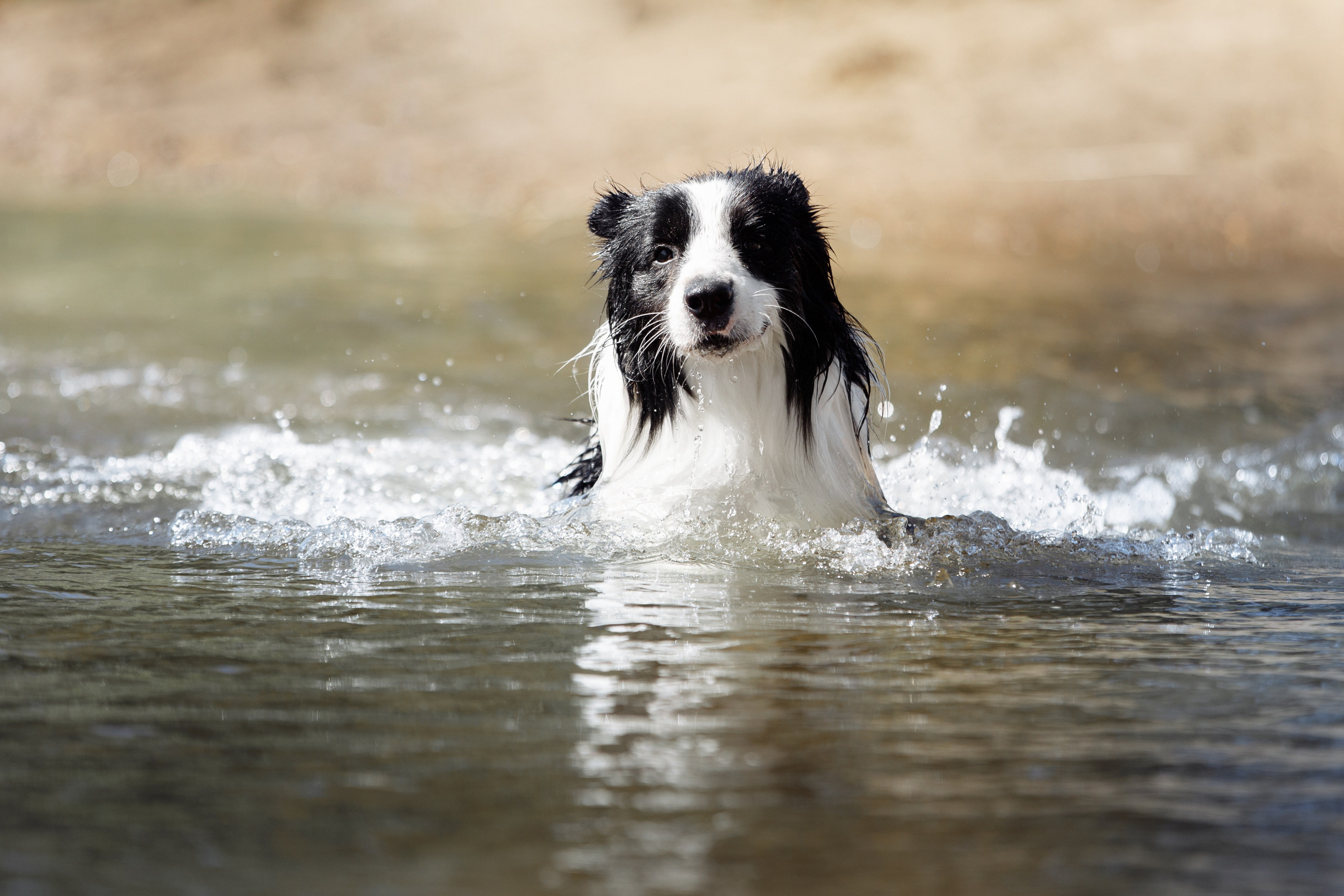 Водяные в Новотроицке. О нас