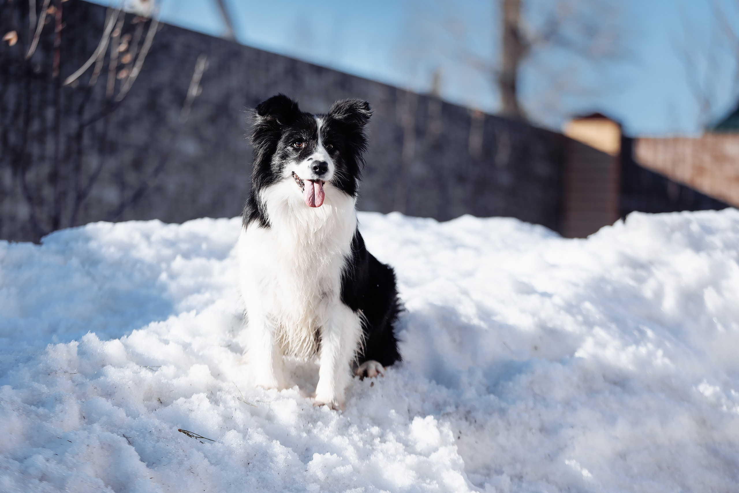 Пока таяло. О нас