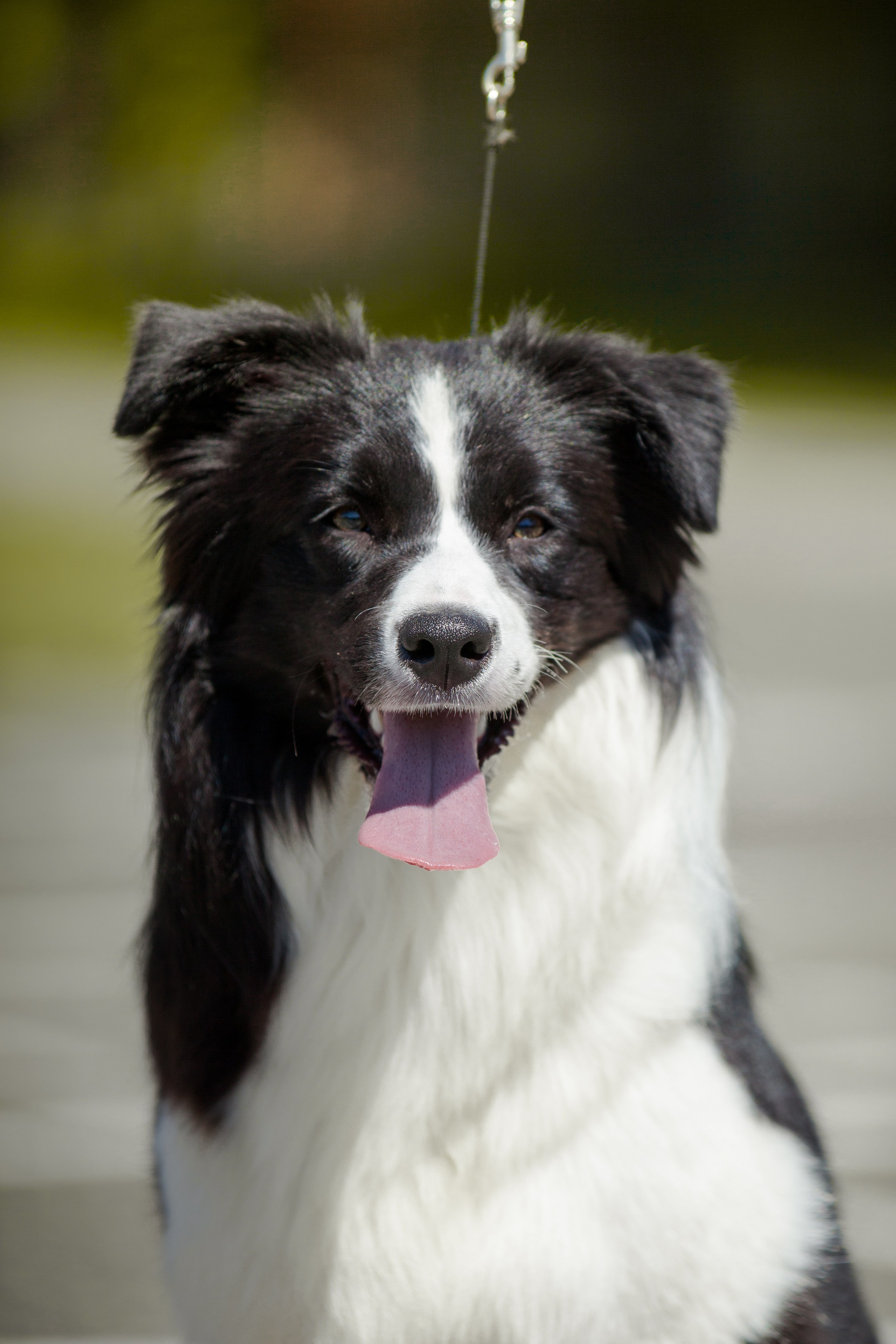 Зеленое в Оренбурге 19. О нас