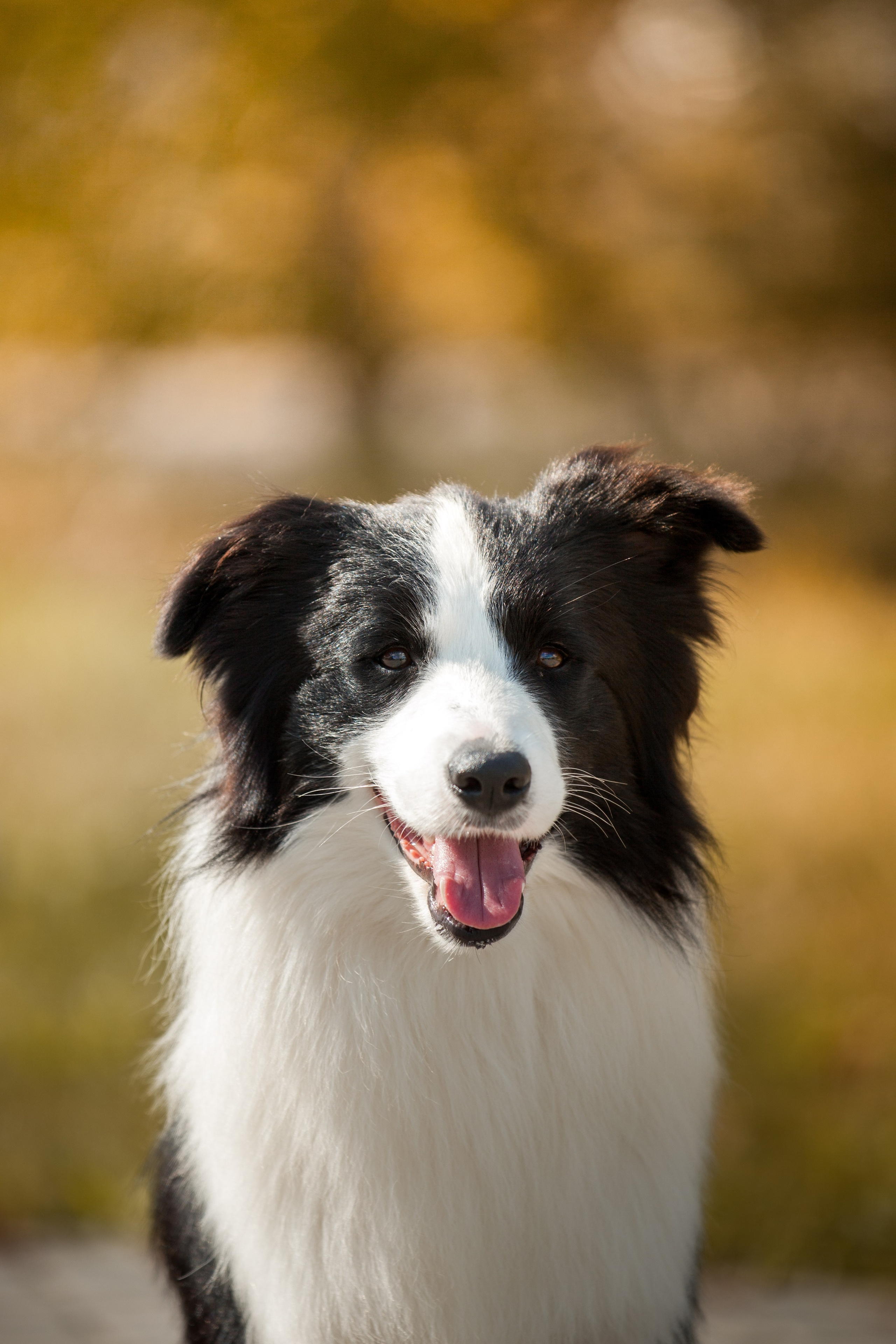 Это было в Новотроицке, было в 19. О нас