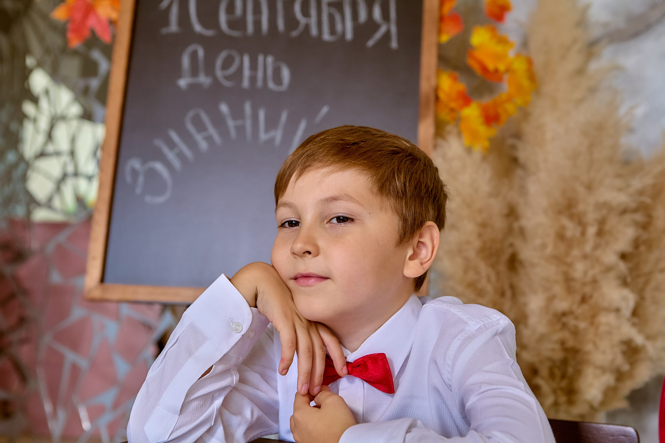 Портрет в День знаний. Мальчик за партой в размышлении