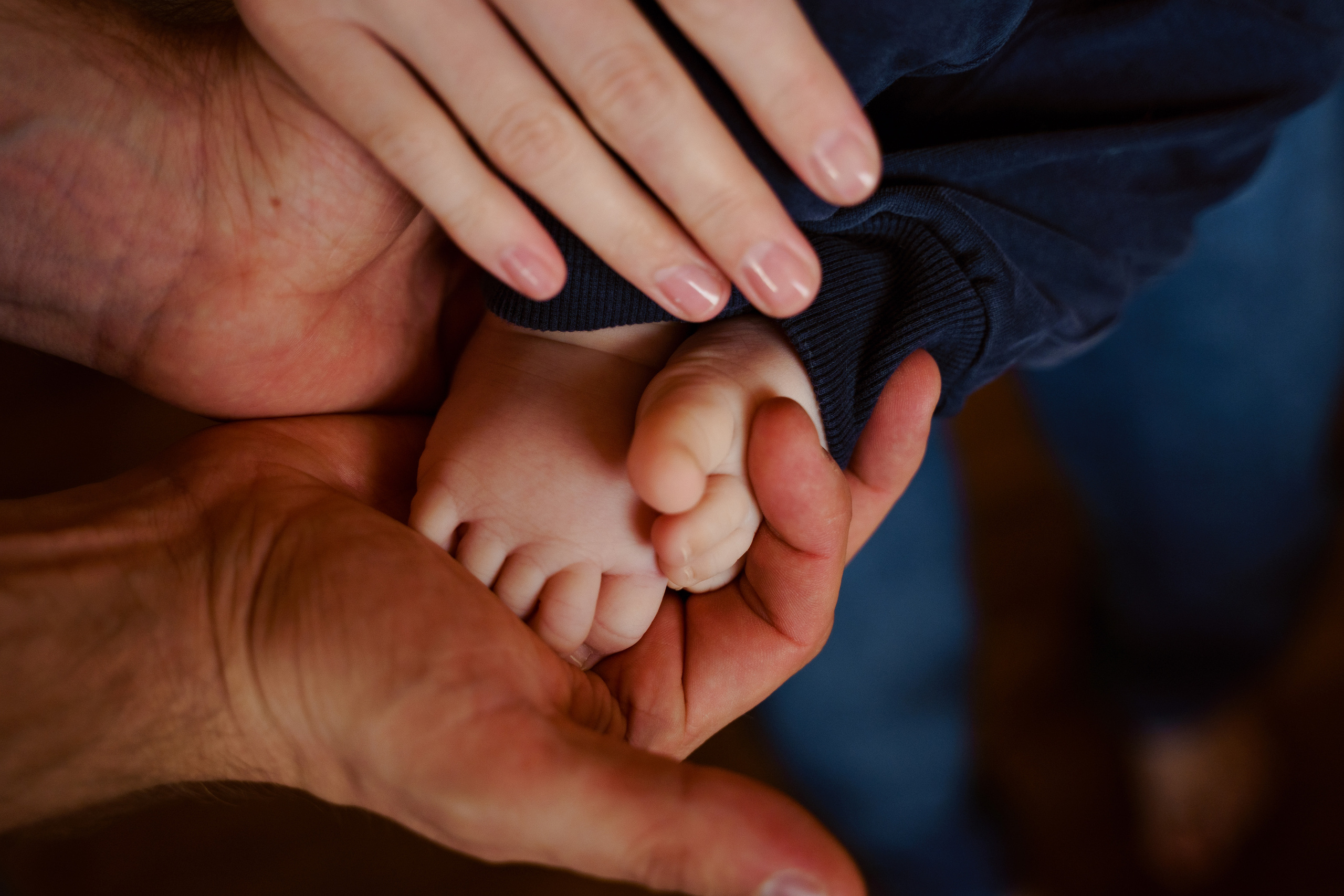 Светик и ее семья. Nadia Fay