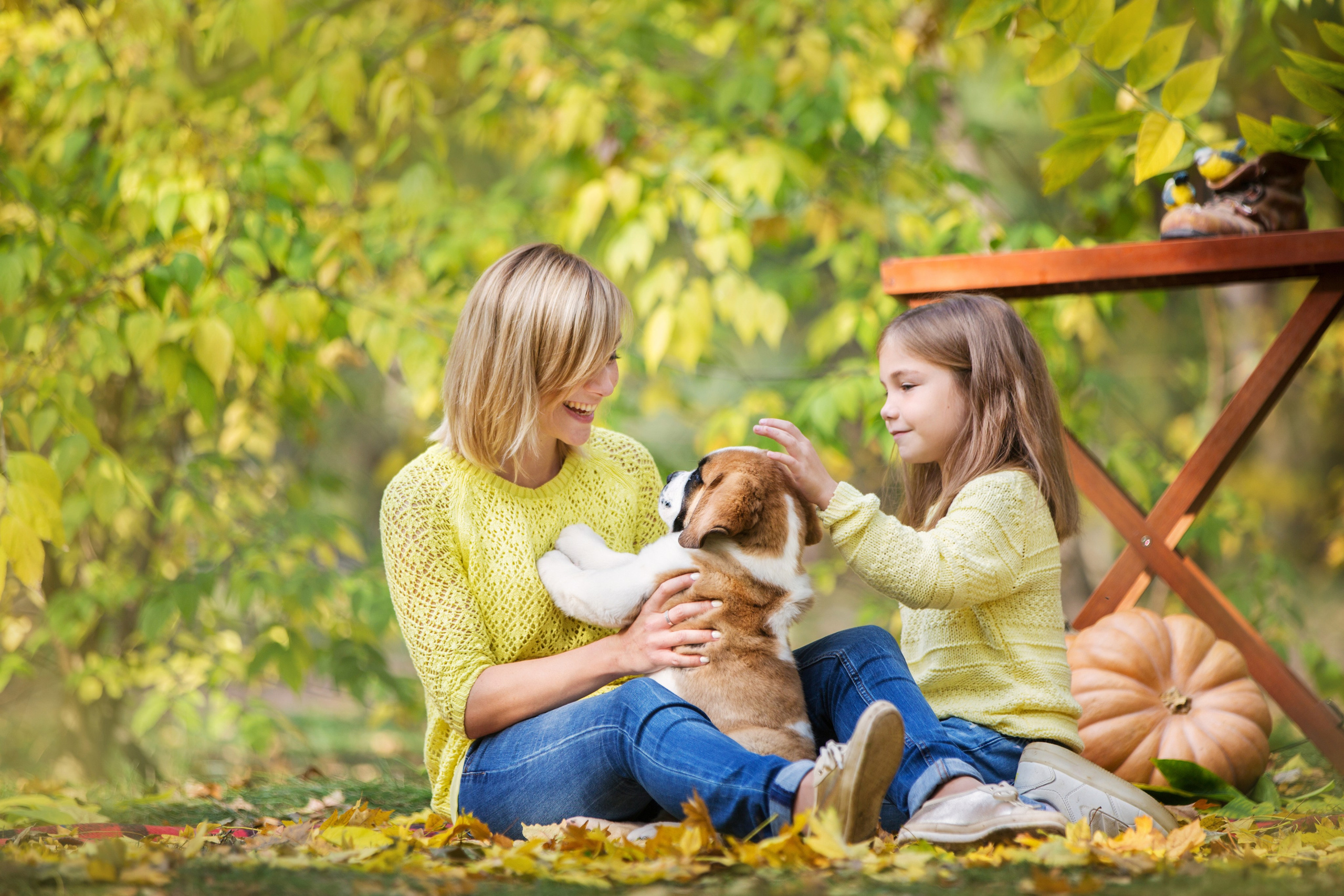 Щенки Сенбернары. Октябрь. Свадебный семейный и детский фотограф в Краснодаре Карина Федоровская