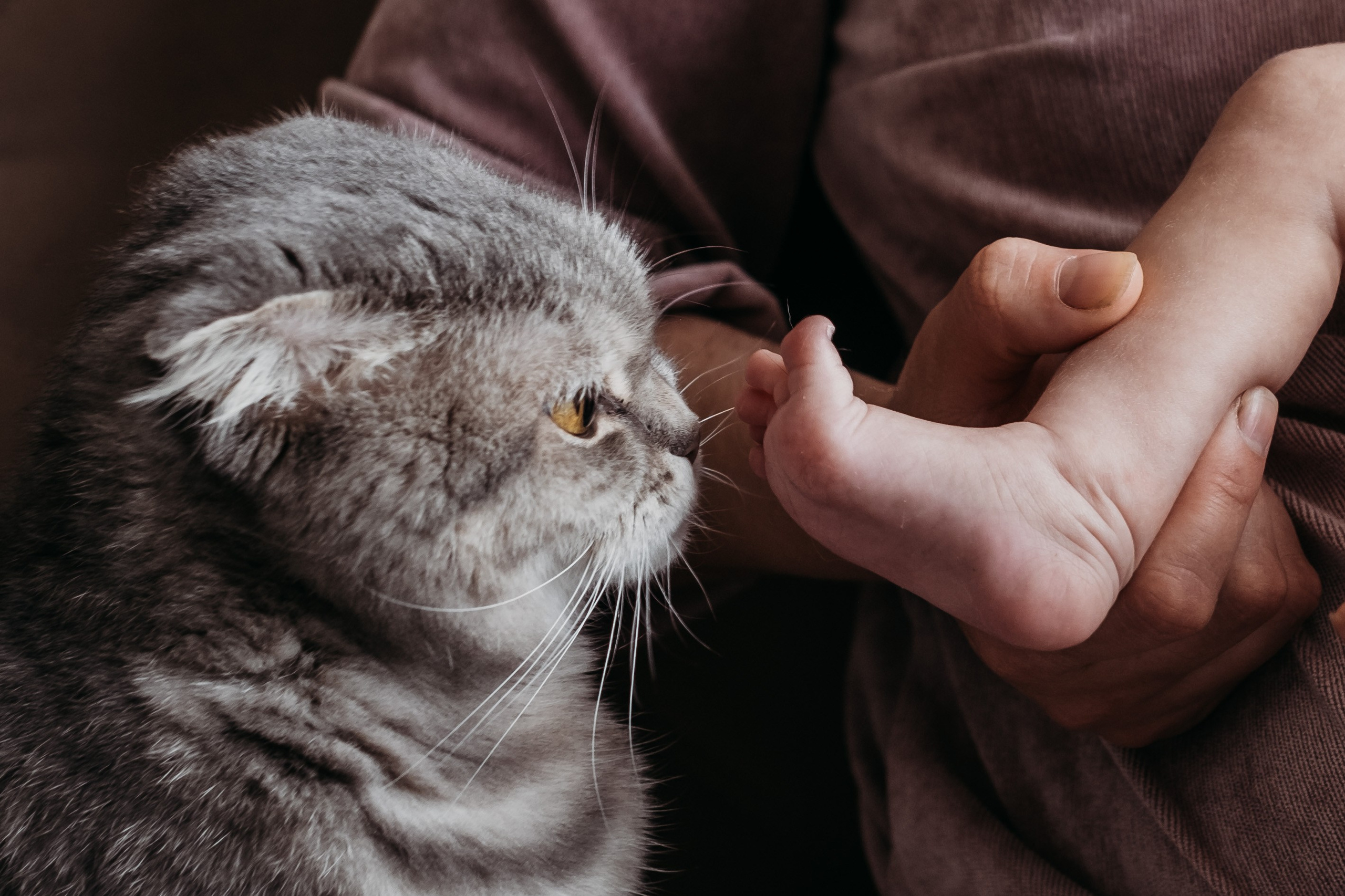 Ефросинья родилась. Семейный фотограф Москва и Домодедово Ольга Игнатова