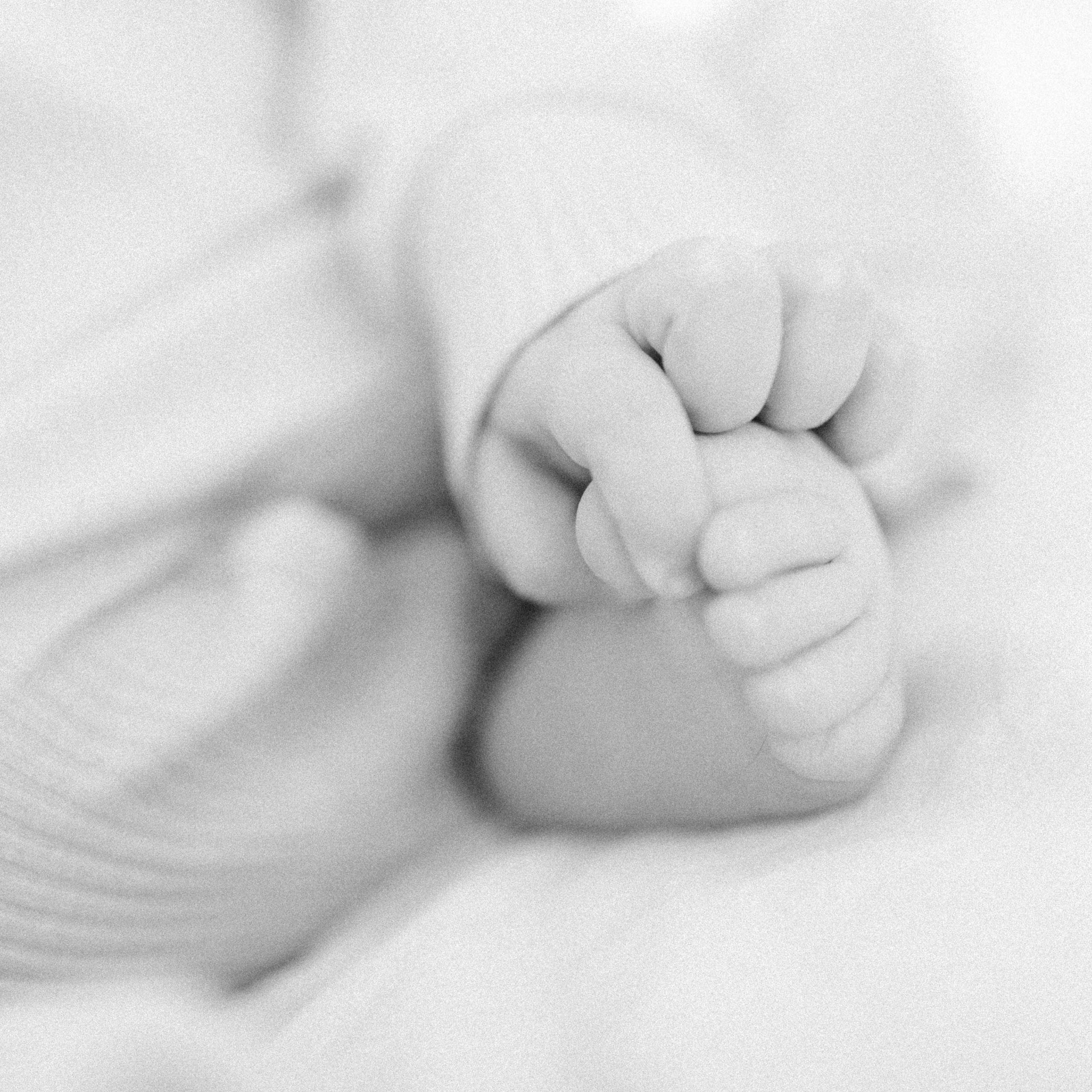 Фотографии семьи в Москве. Лена Крутова. Фотограф в Москве