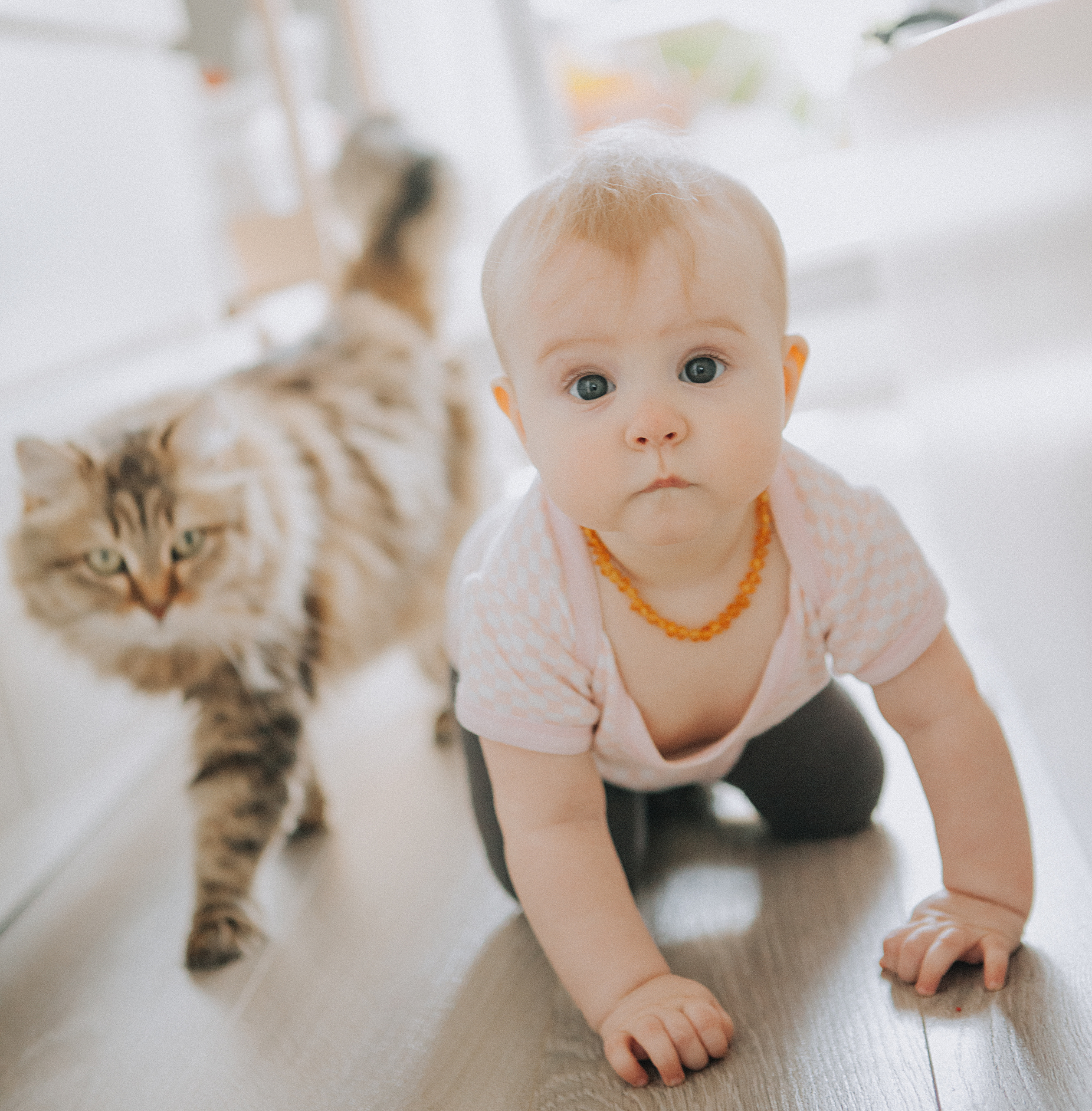Фотографии семьи в Москве. Лена Крутова. Фотограф в Москве
