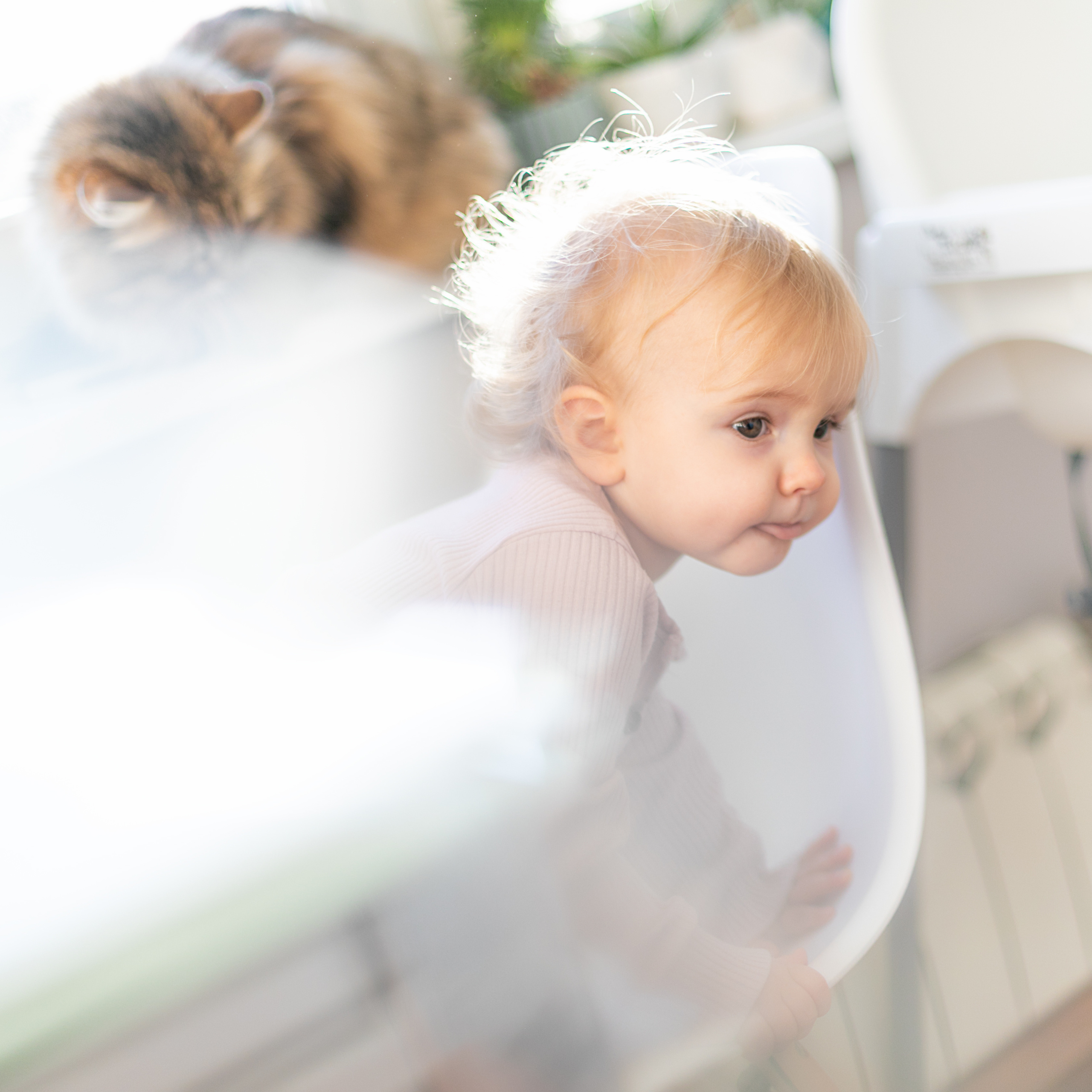 Фотографии семьи в Москве. Лена Крутова. Фотограф в Москве