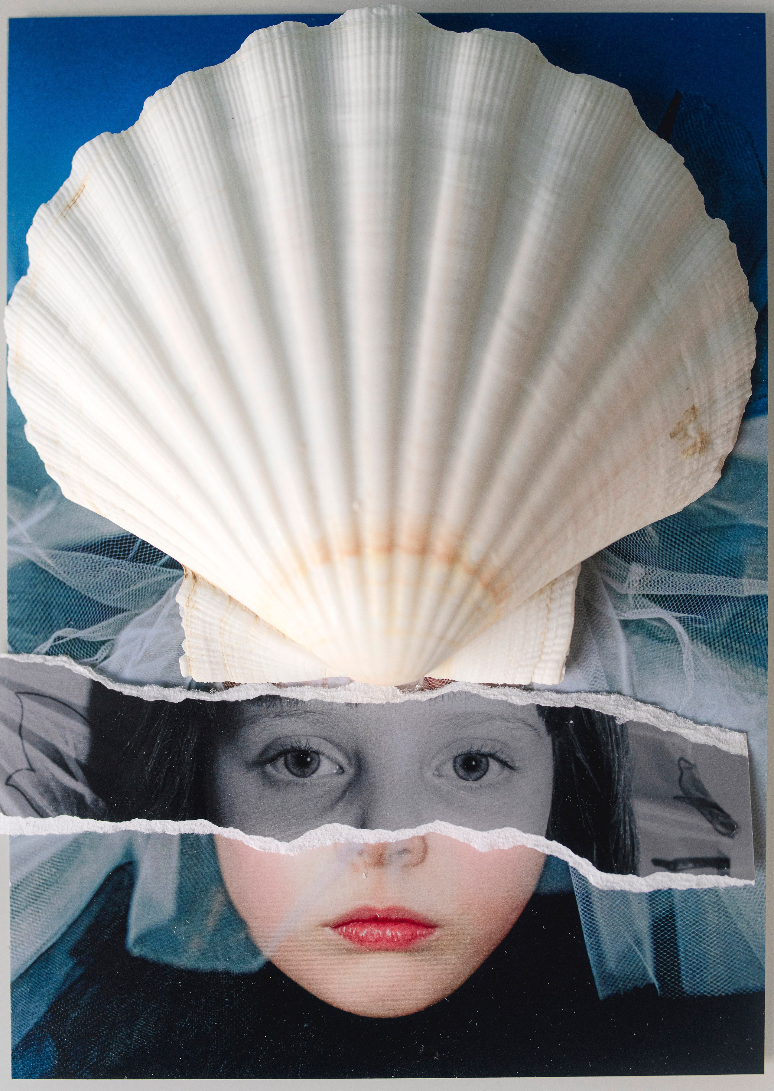 Цветные фотографии. Фотографии Лены Соколовой