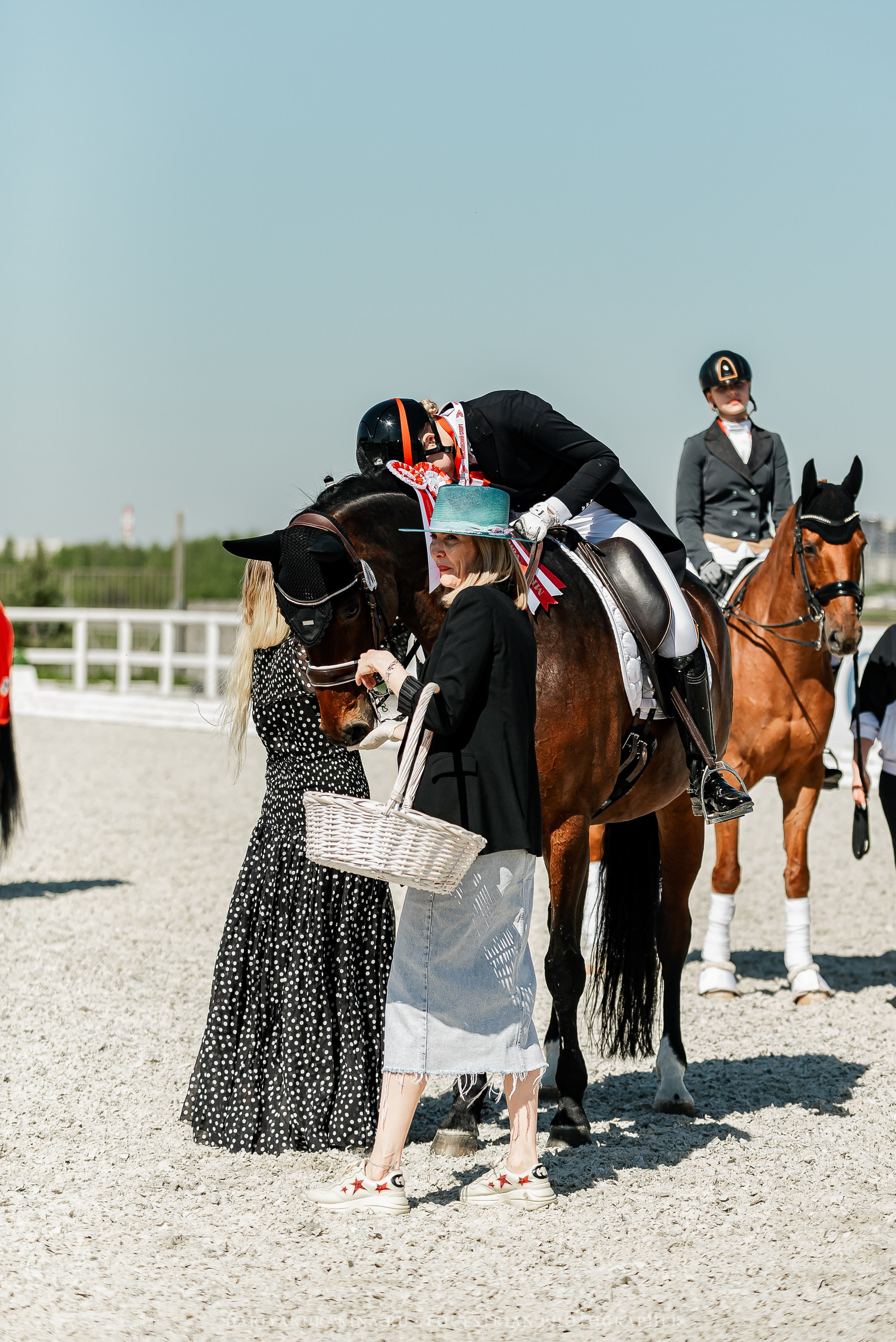 РЕПОРТАЖ МКК ВОЛЬТ «LA TULIPS». Конный фотограф Куракина Дарья • Фотосессии с лошадьми
