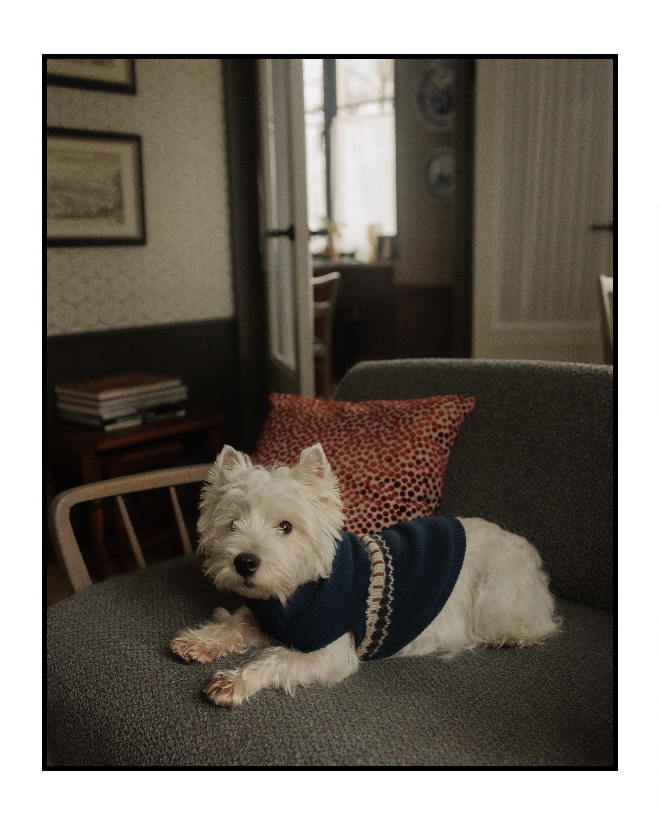 Беременные истории 2025