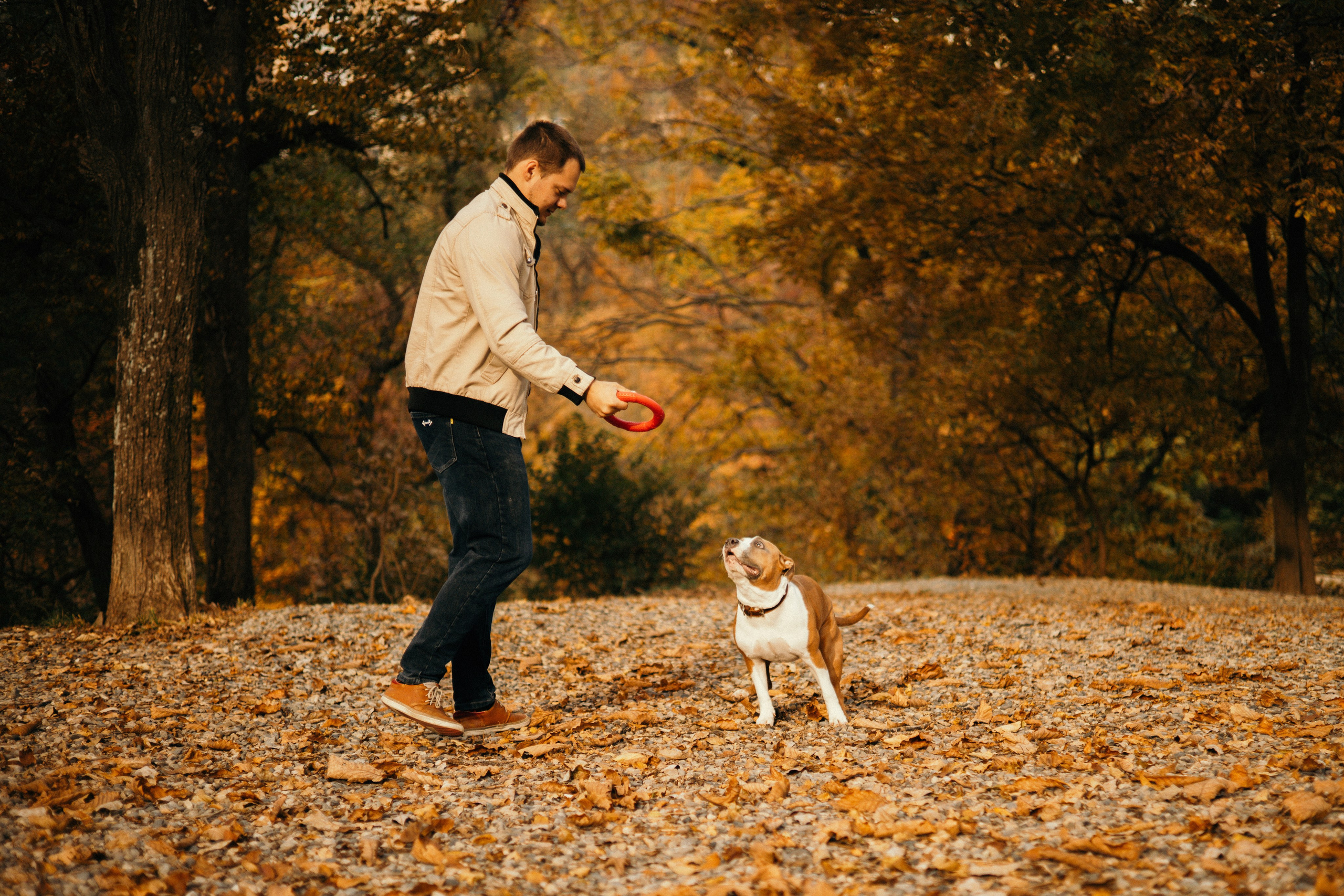 Лаффи и ее семья. Фотограф — анималист Владивосток, Алина