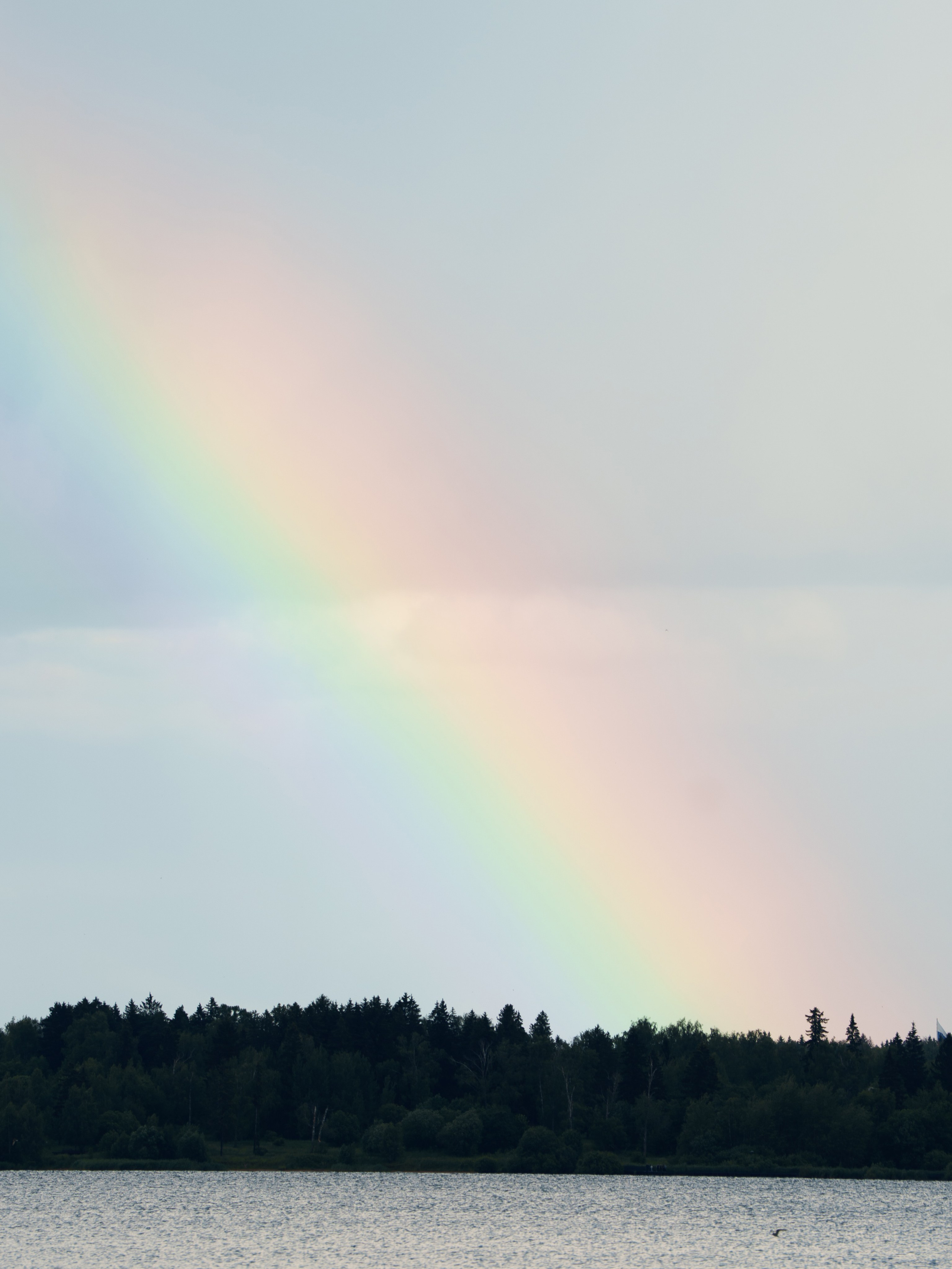 Женя и Костя. Свадебный фотограф Михаил Мирзоян