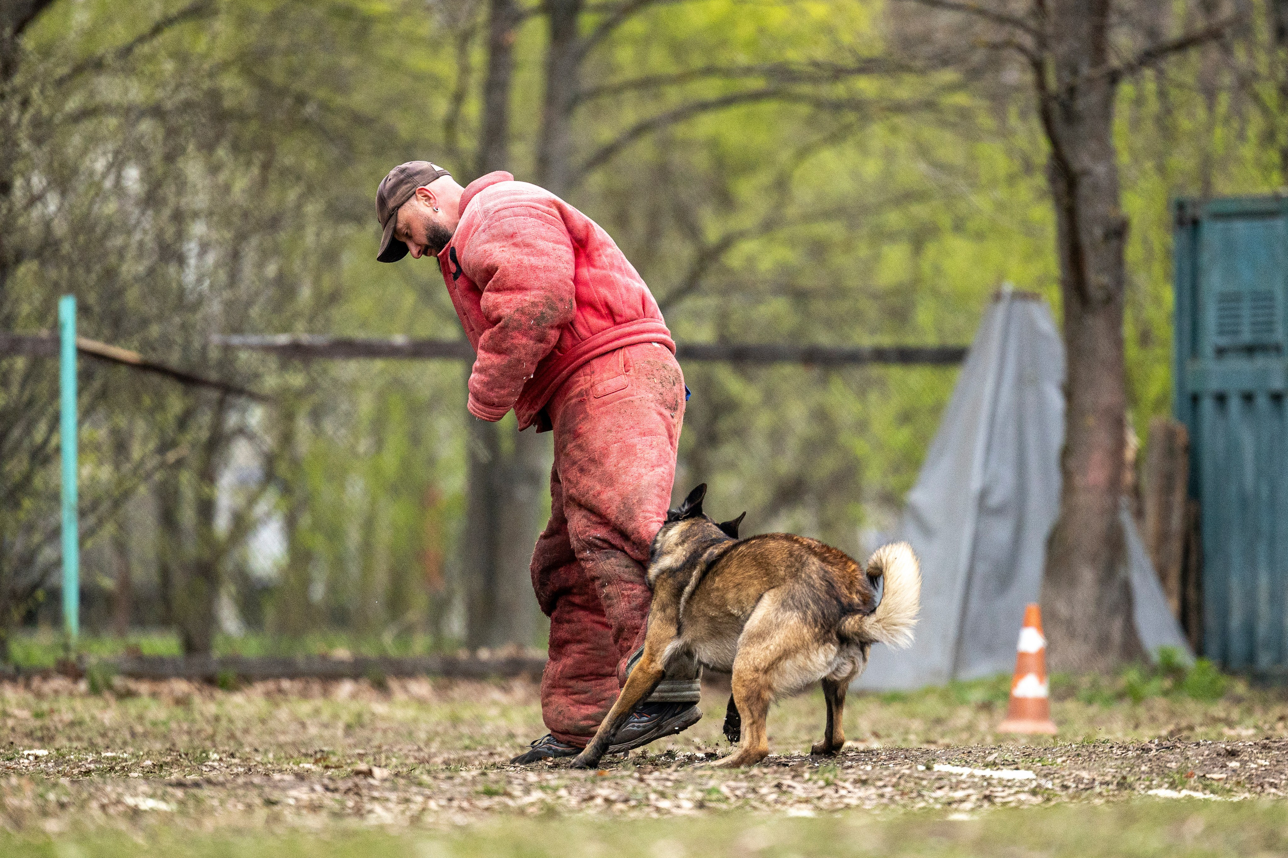 Квалификационные состязания по мондьорингу г. Вологда 11.05.24. Фотограф-анималист Анна Маринич