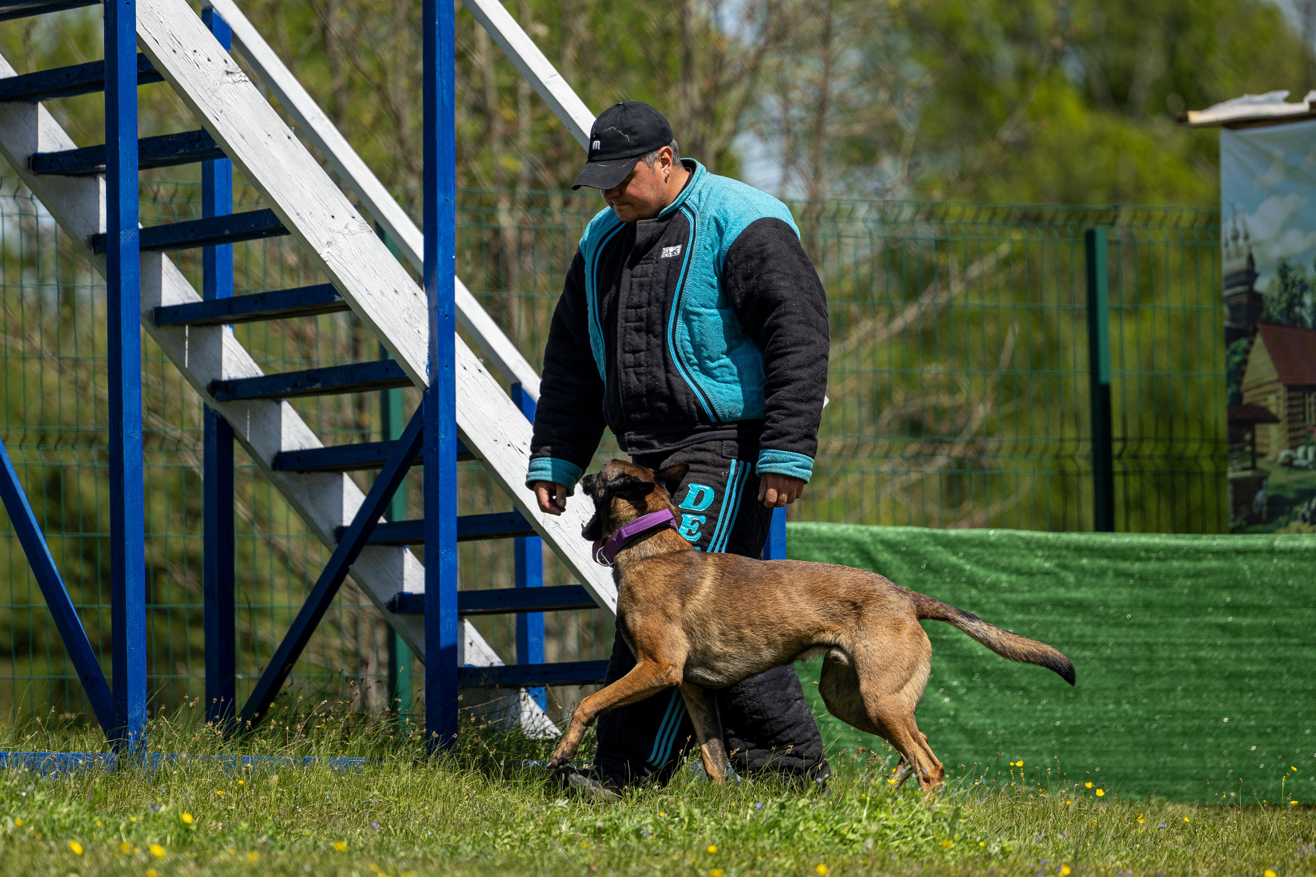 Испытания по мондьорингу в Нижнем Новгороде. Фотограф-анималист Анна Маринич