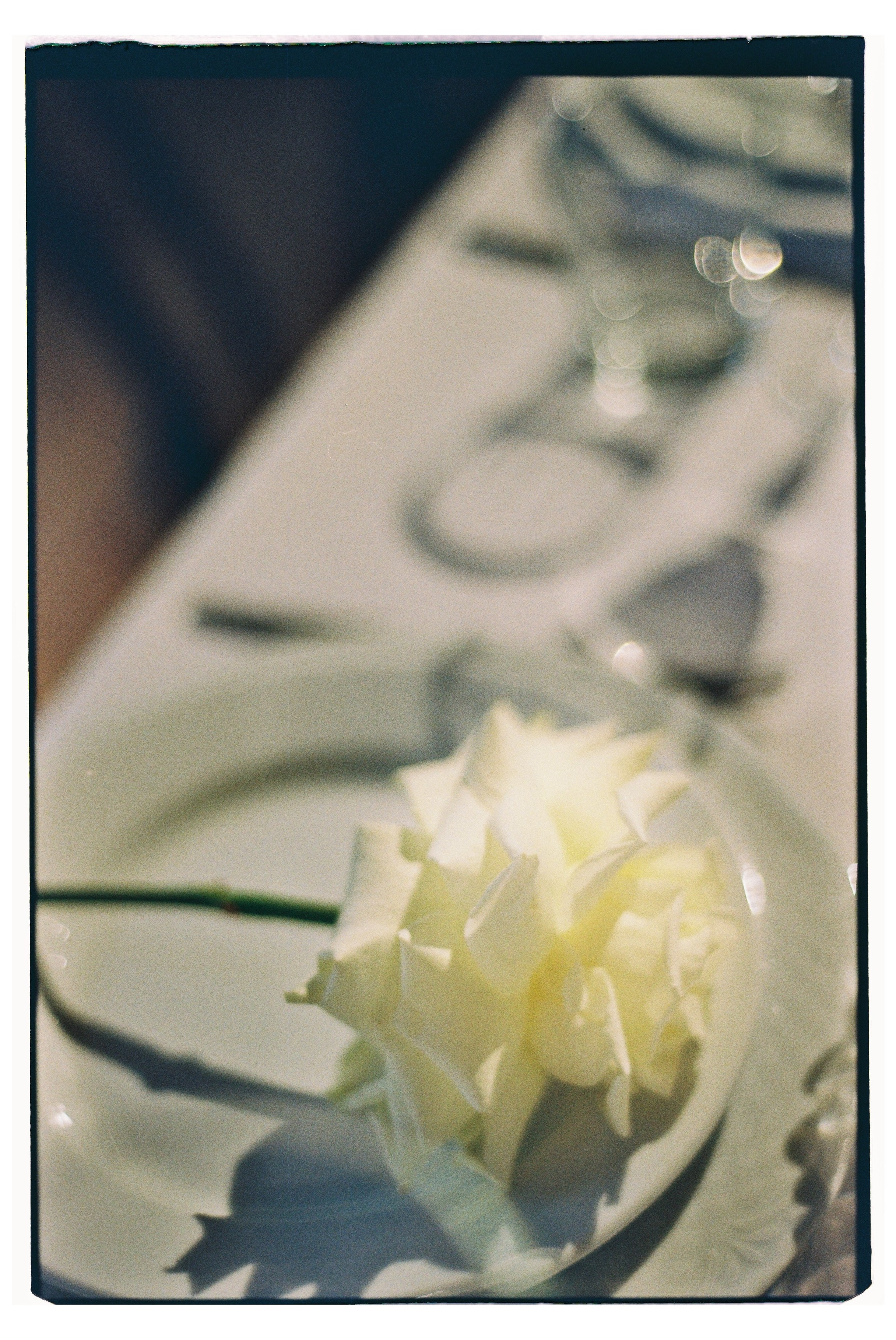 Полина / День рождения. Свадебный фотограф в Москве Евгений Рыжов