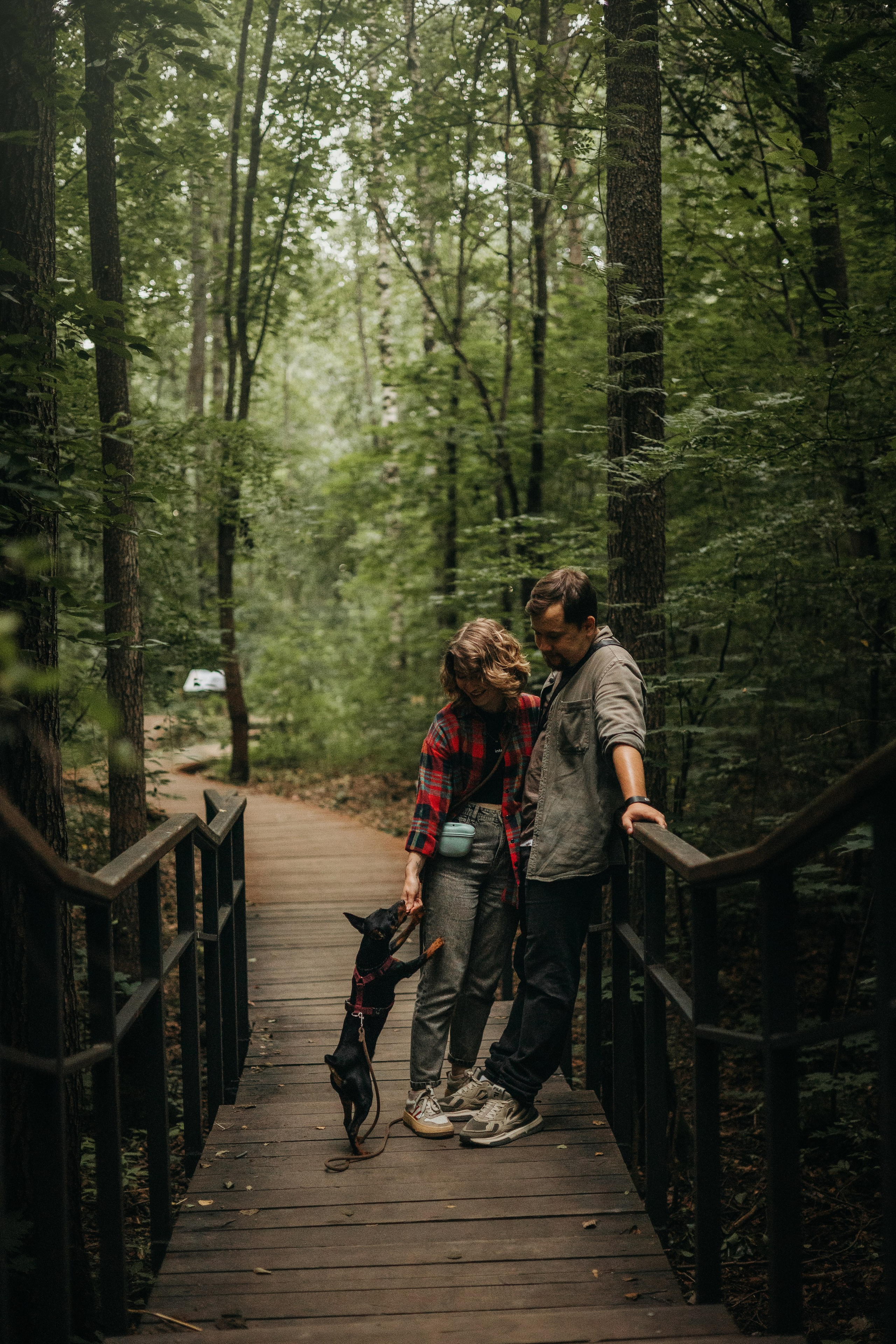 Сириус и его семья. Фотограф — Анималист | Санкт-Петербург