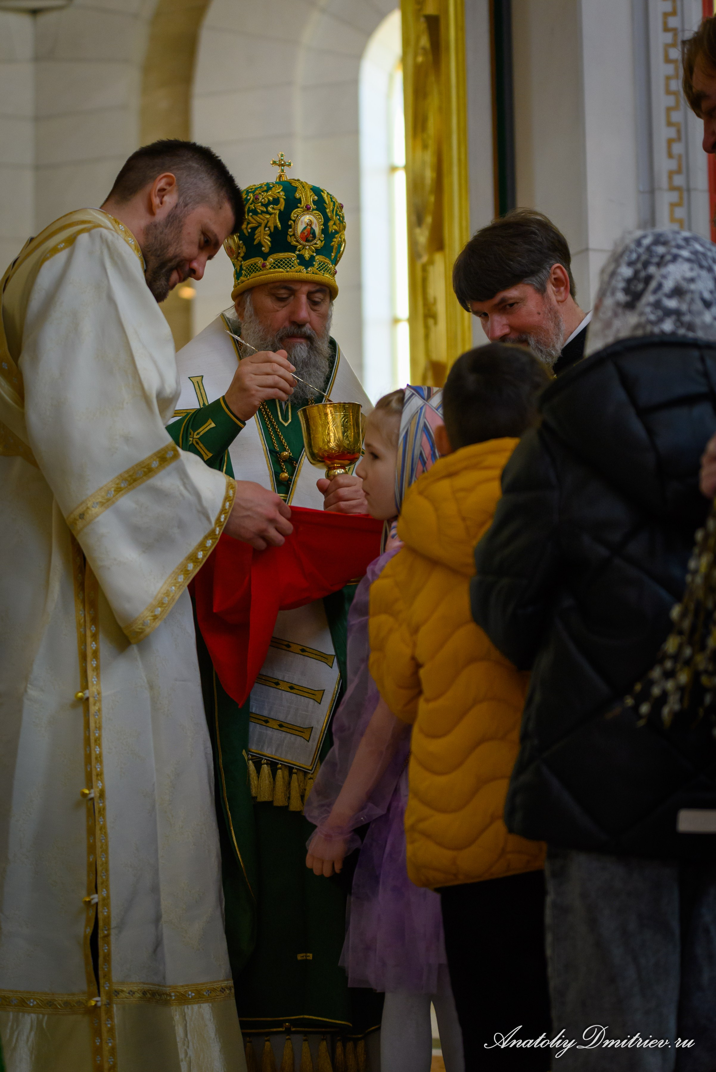 Вербное 2025. Фотограф  Крещения и Венчания Калининград