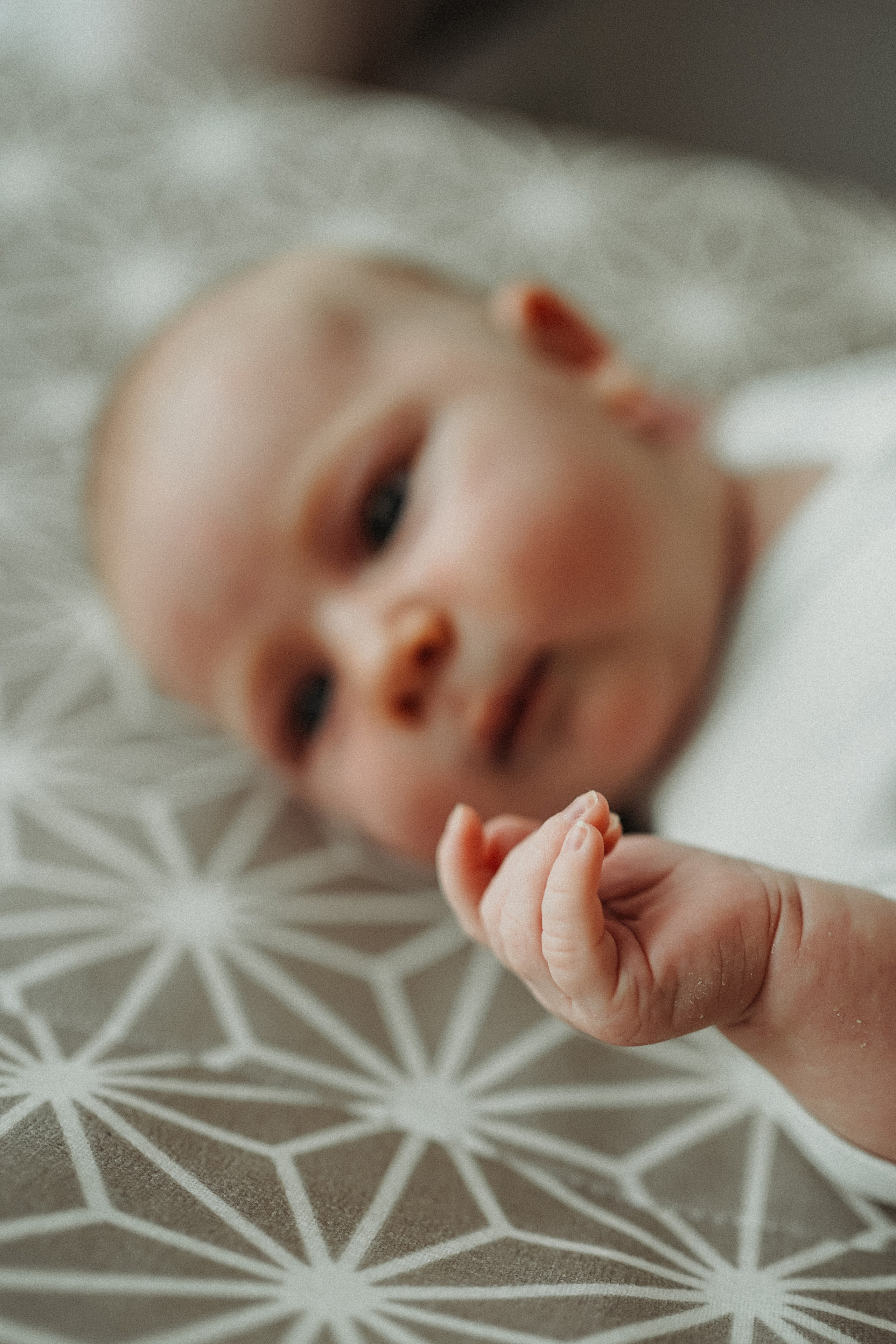 Елена, Андрей и малыши. Фотограф Наталья Колганова