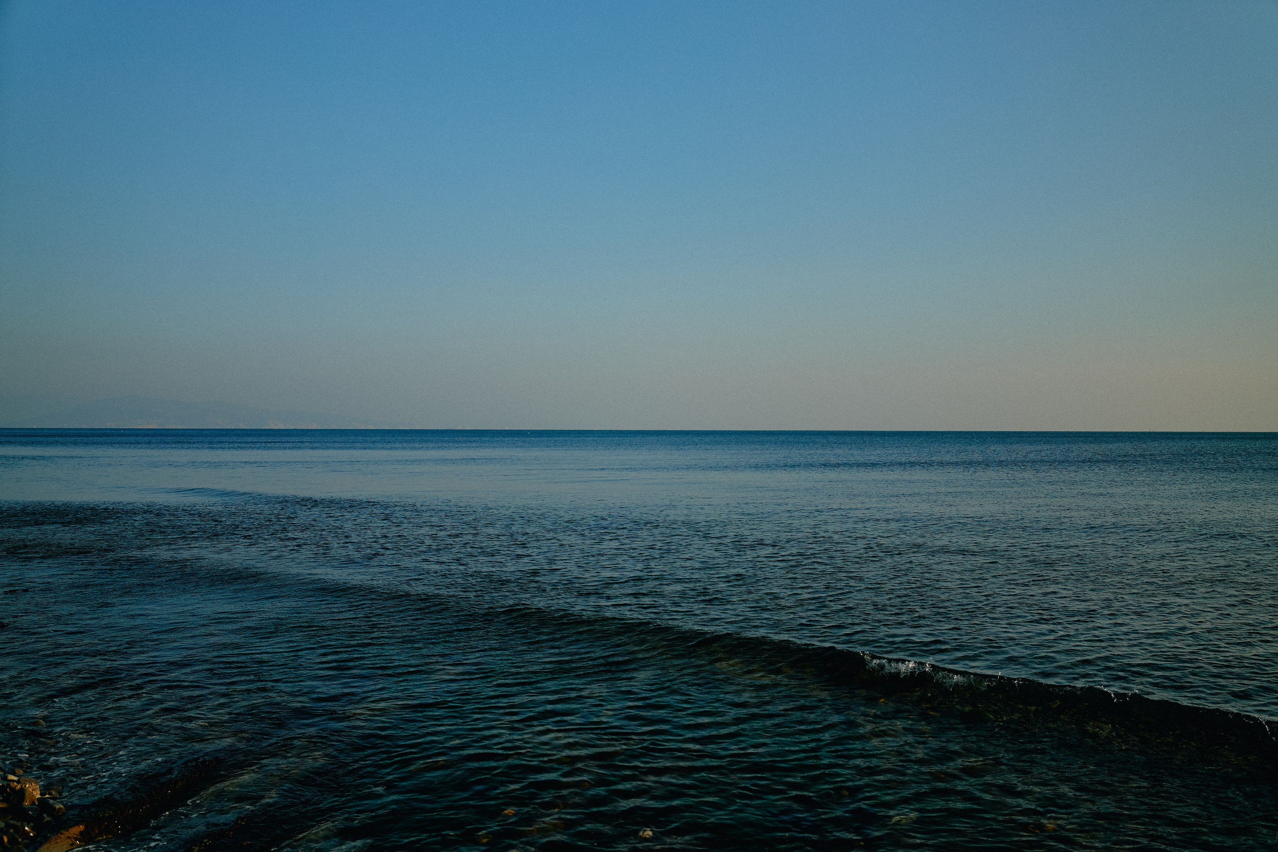Юг России. Профессиональный Фотограф во Владимире, в Москве и в Суздале — Полина Романычева
