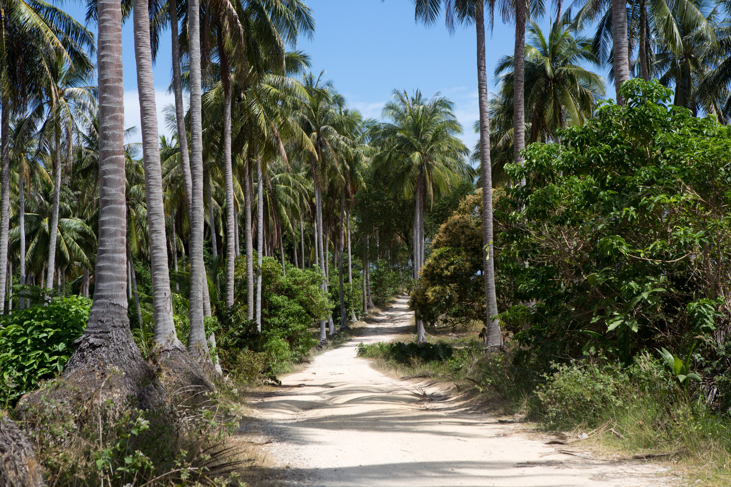 Фото Тайланда. Студия Максима Белослюдцева