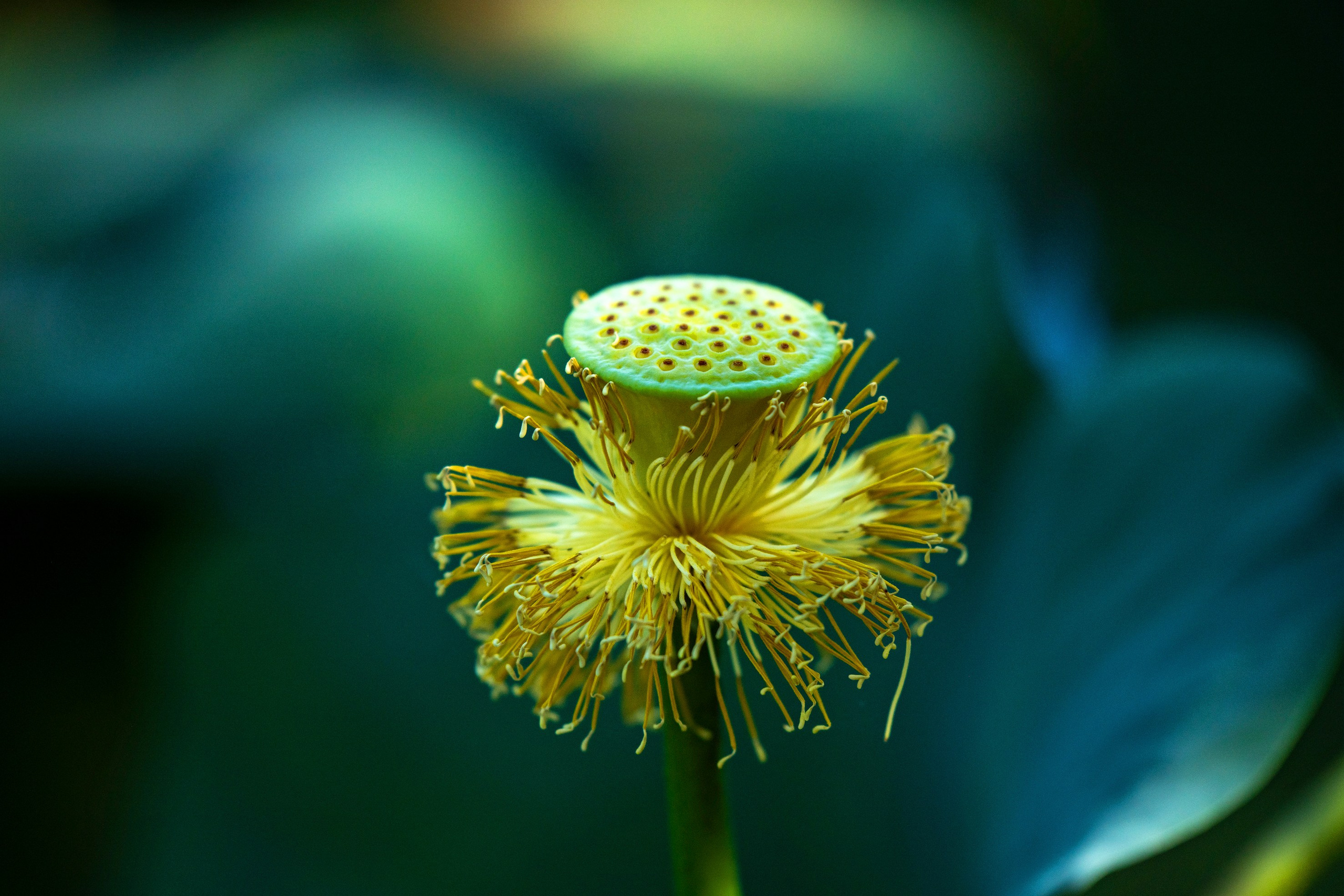 Природа Хабаровского края. Команда фотографов Кристины Ивановой