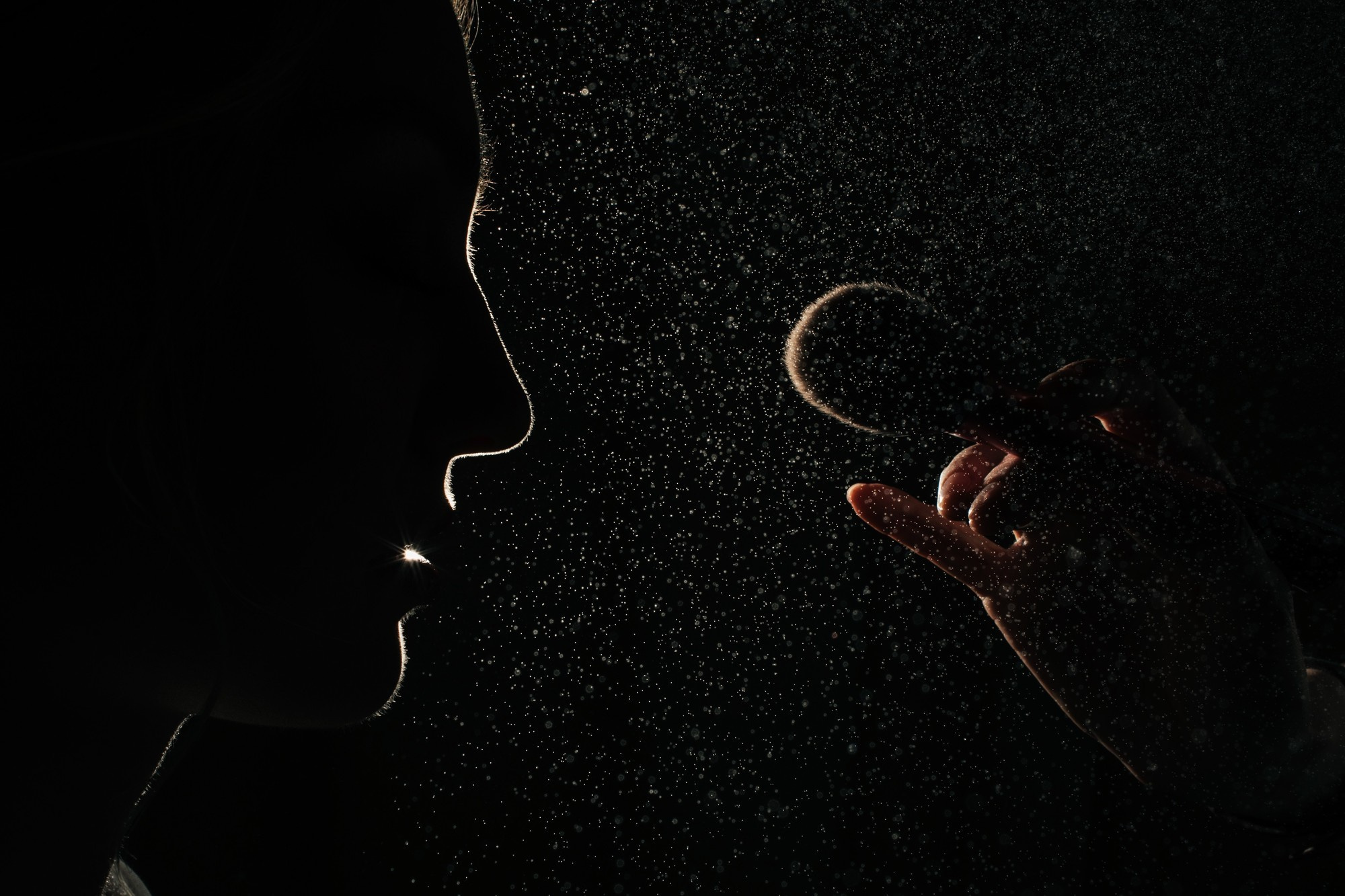 Portfolio. Wedding and family photographer in Moscow