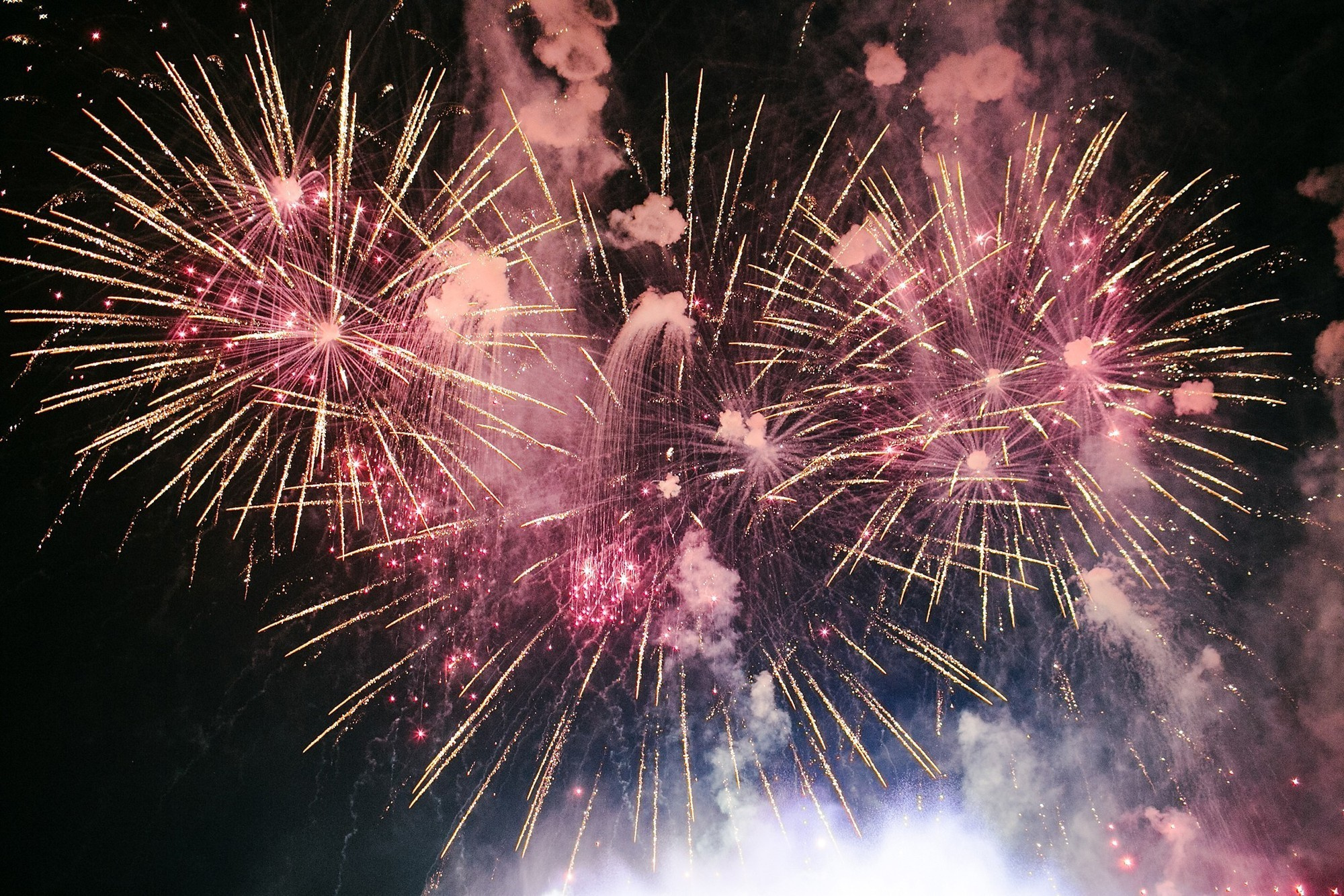 Portfolio. Wedding and family photographer in Moscow