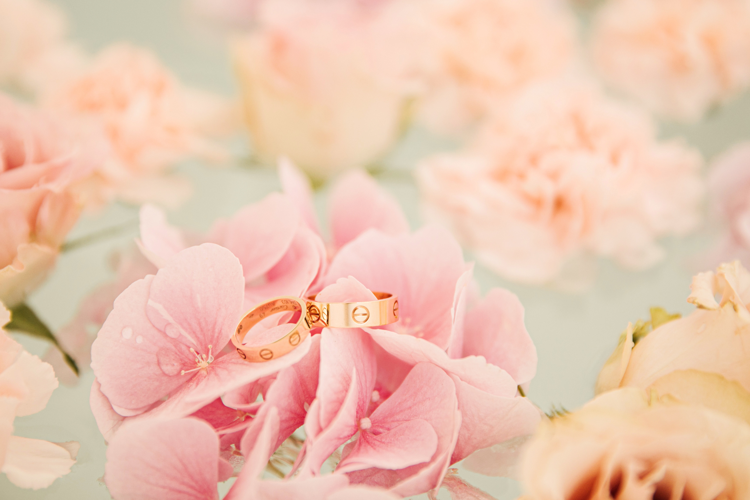 Andrei & Alena 2019 Moscow. Wedding and family photographer in Moscow