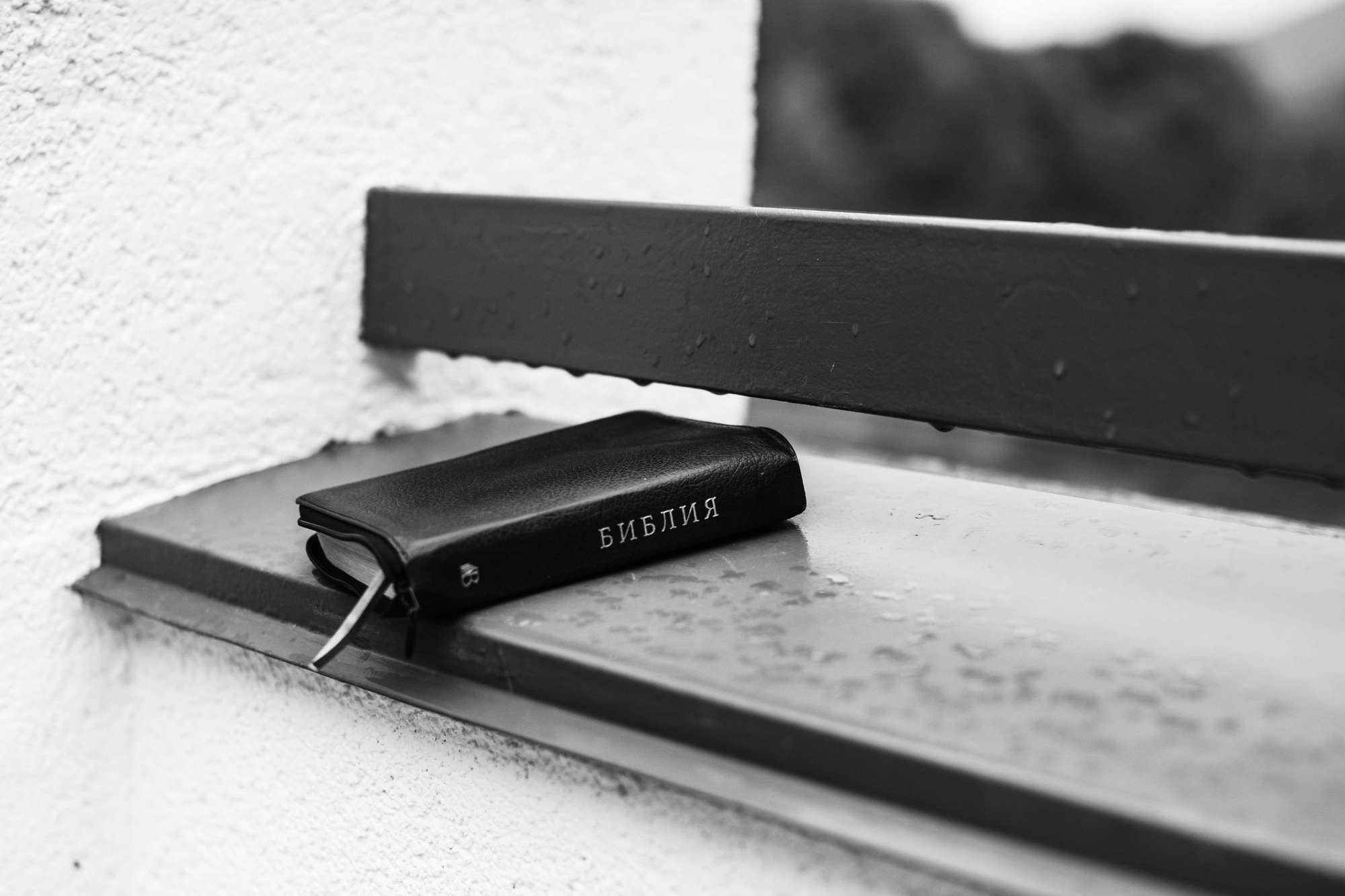 Ruvim & Nastya 2018 Sochi. Свадебный и семейный фотограф в Москве