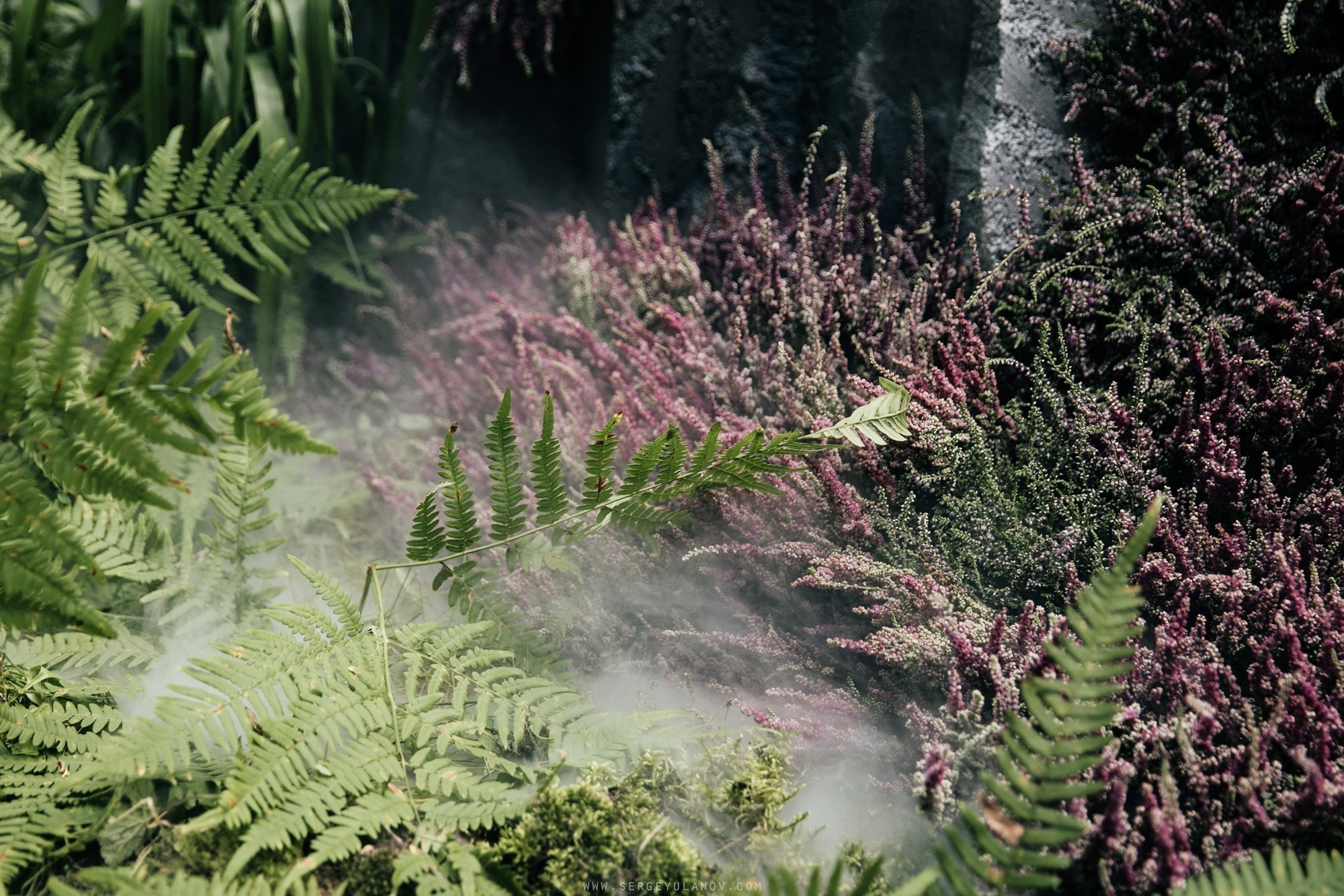 Dima & Dasha 2017 Nizhniy Novgorod. Свадебный и семейный фотограф в Москве