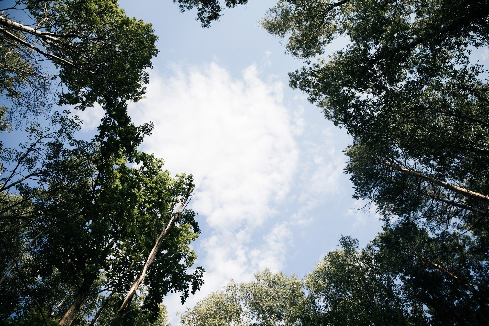 Dima & Dasha 2017 Nizhniy Novgorod. Свадебный и семейный фотограф в Москве