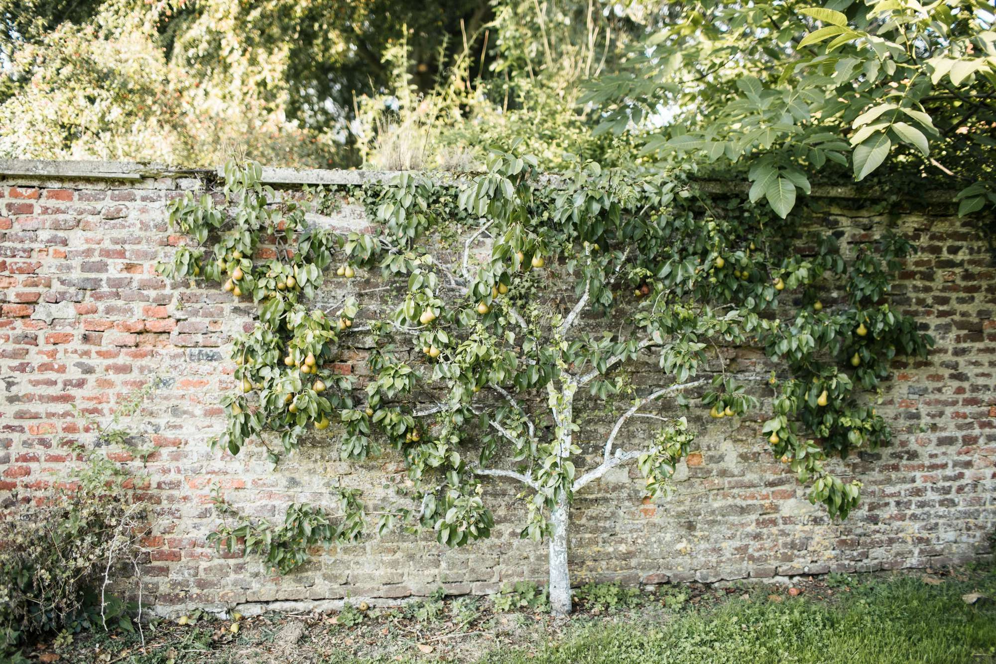 Pier & Mari 2018 France/Belgium. Wedding and family photographer in Moscow