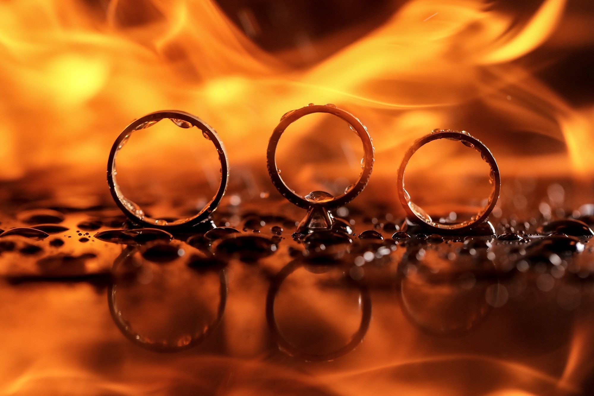 Portfolio. Wedding and family photographer in Moscow