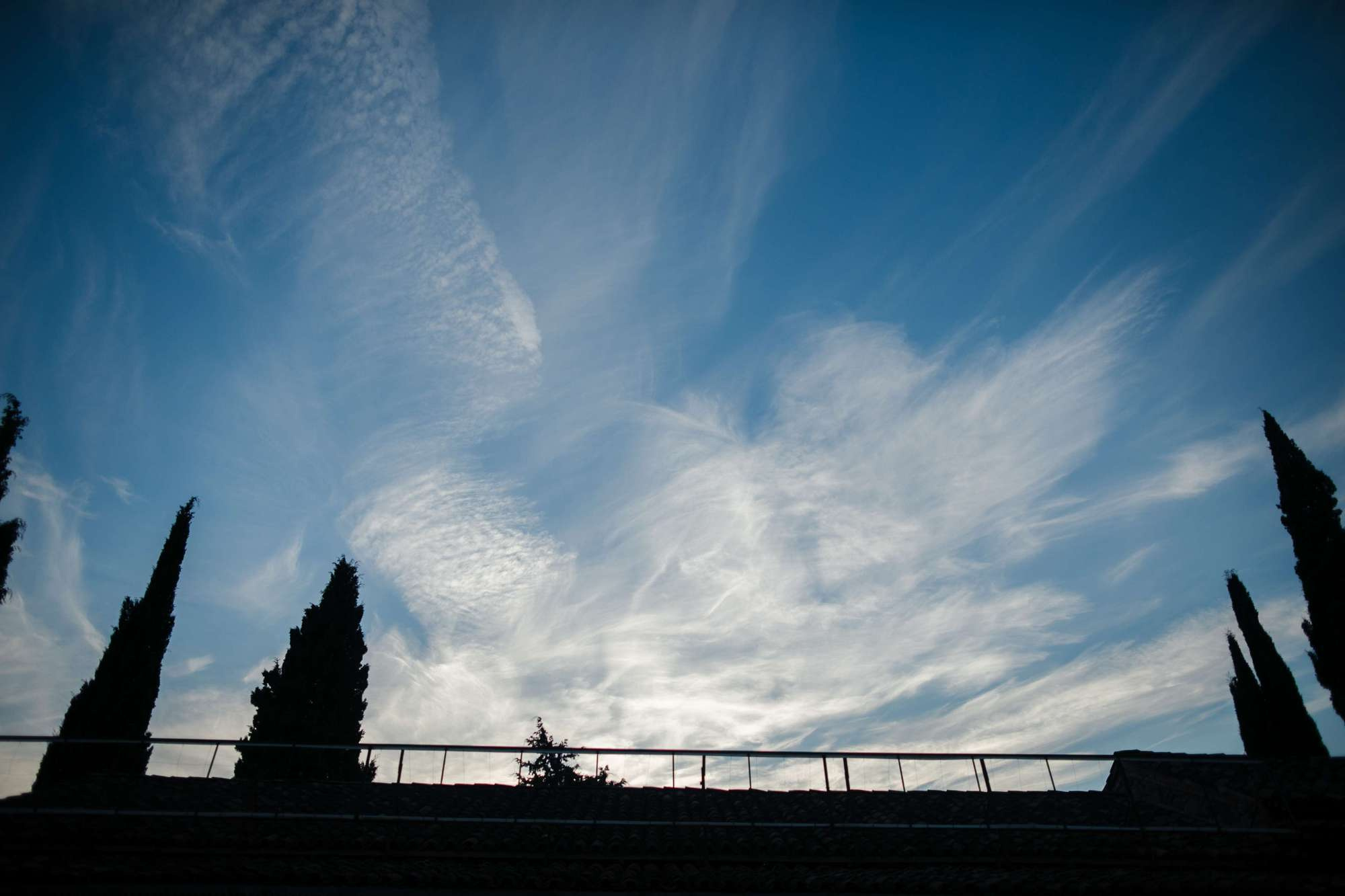Dima & Katya 2018 Georgia. Свадебный и семейный фотограф в Москве